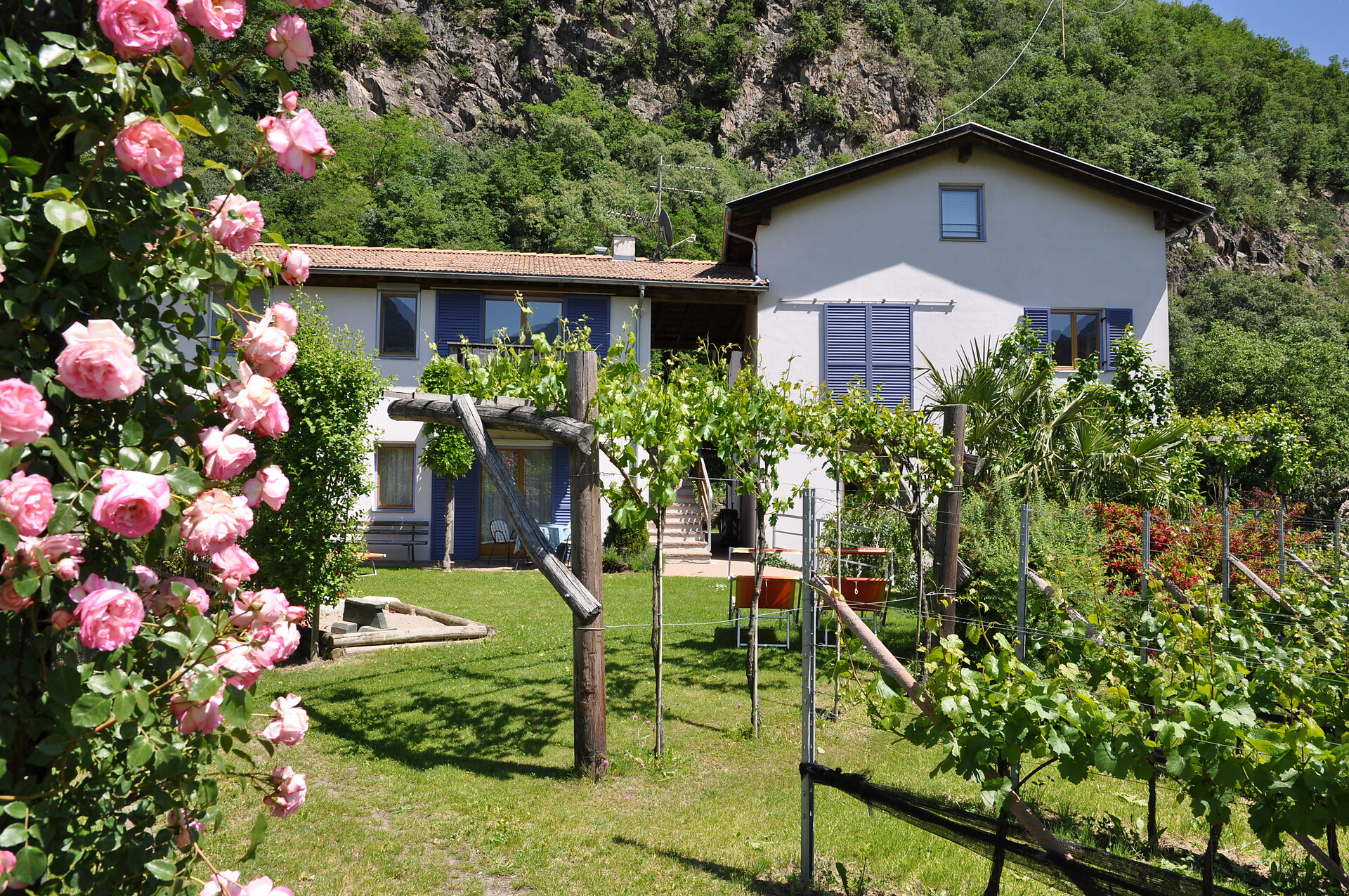 garden