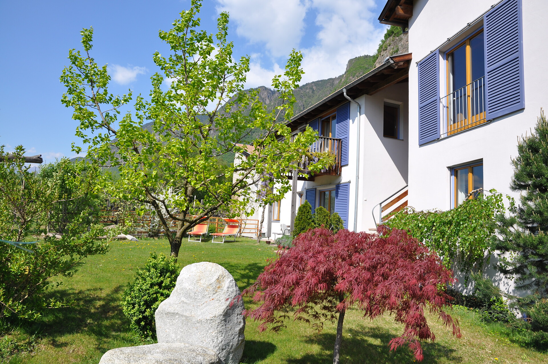 garden