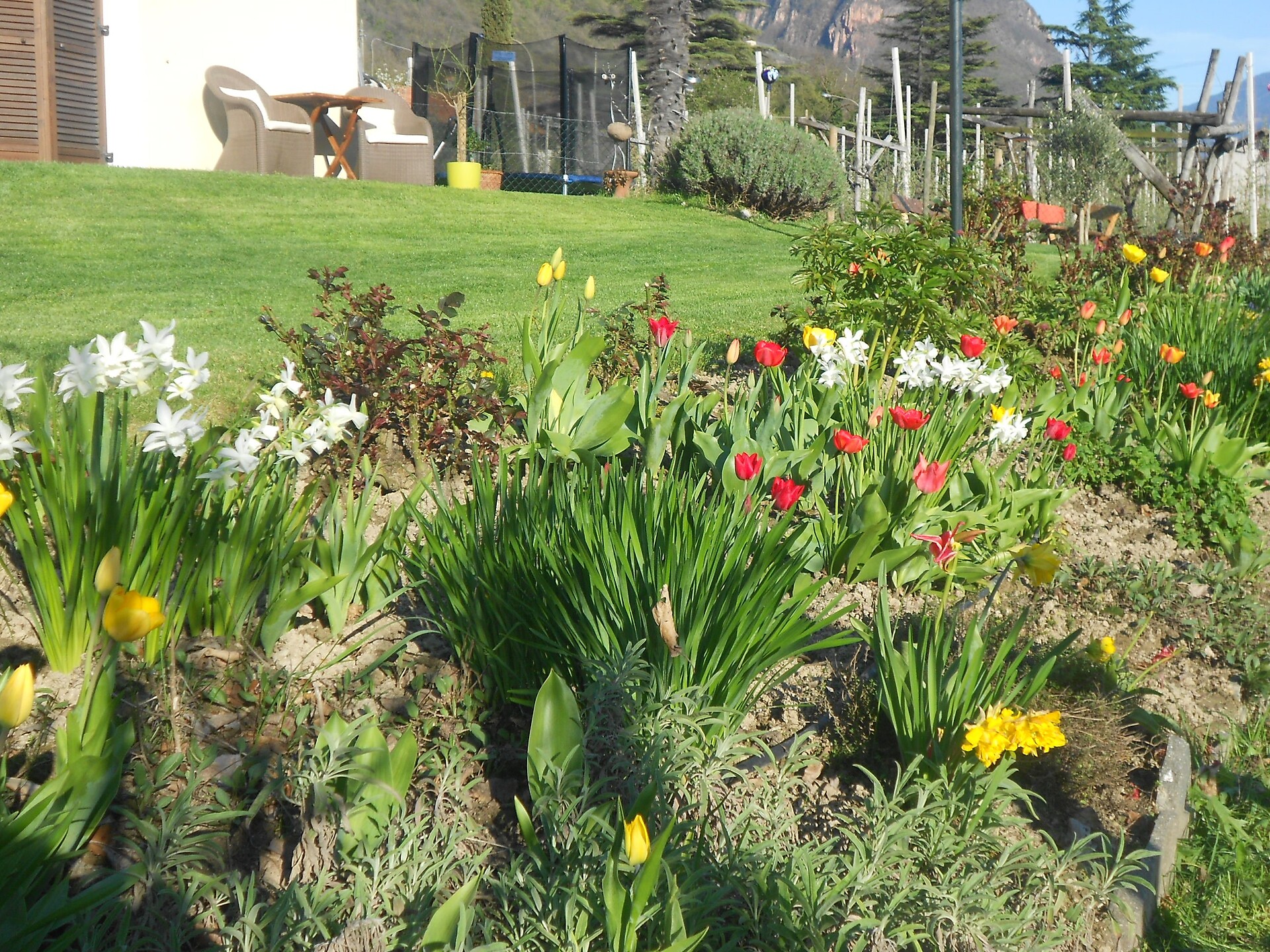 Blumen