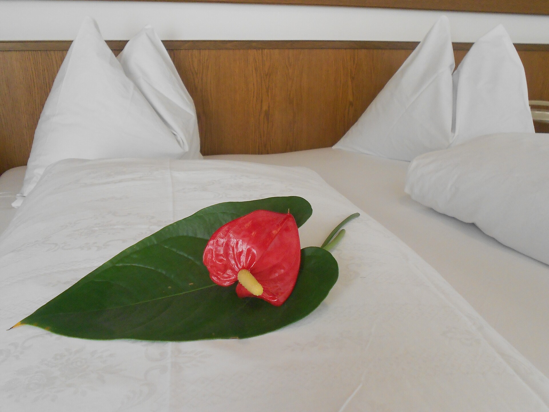 Doppelzimmer