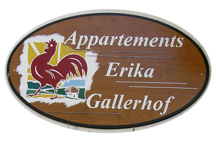 Gallerhof - App. Erika Innichen/San Candido 3 suedtirol.info