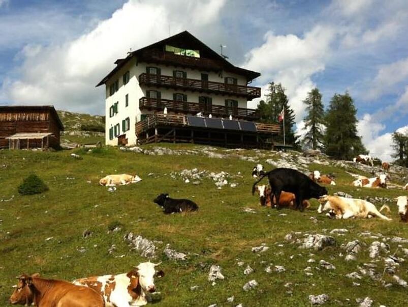 Gardenacia hut Badia 1 suedtirol.info
