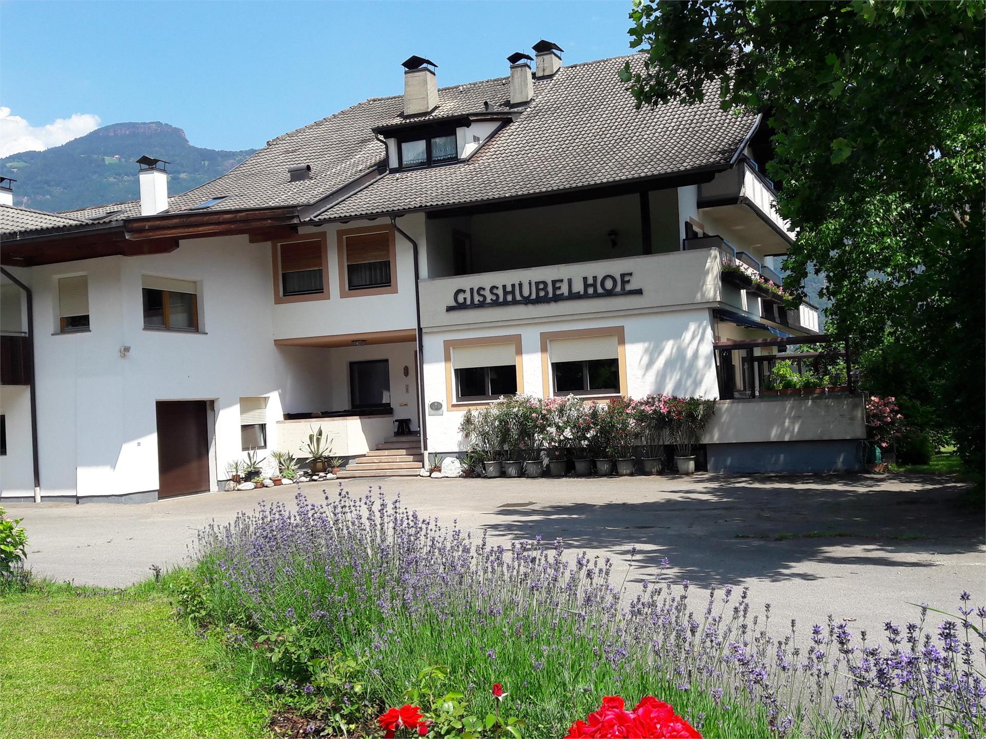 Garni Gisshübelhof Lana 1 suedtirol.info