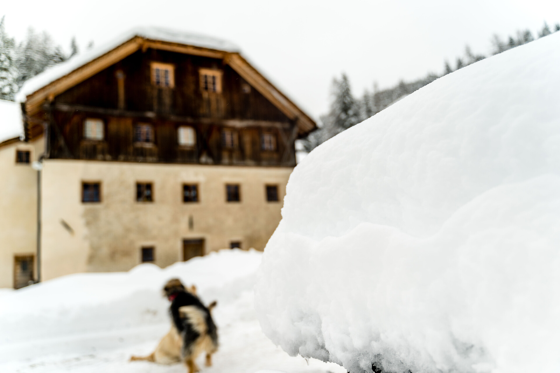 Albergo Bagni Valdander - Dolomites Region Kronplatz/Plan de Corones - #10 - suedtirol.info