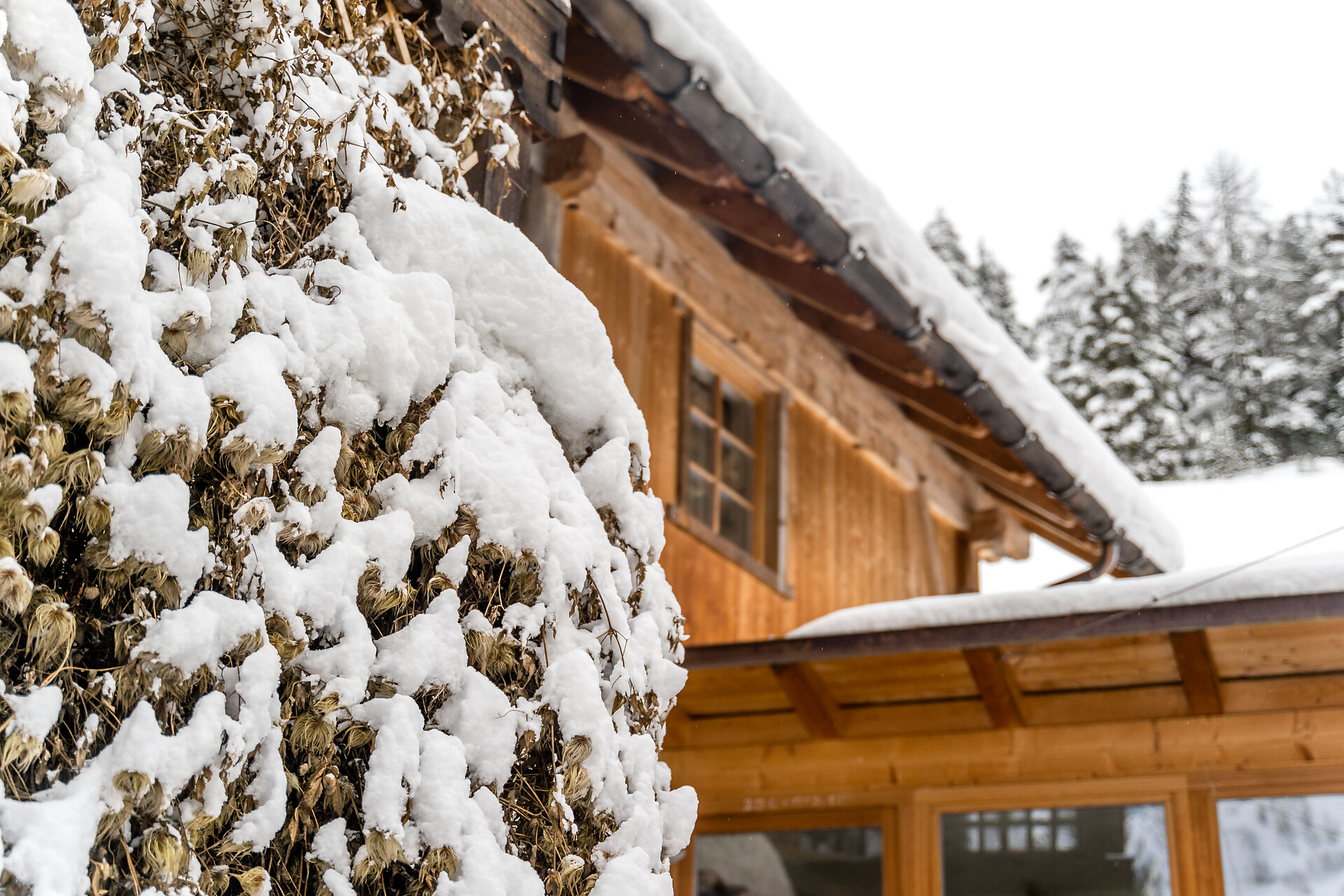 Albergo Bagni Valdander - Dolomites Region Kronplatz/Plan de Corones - #3 - suedtirol.info