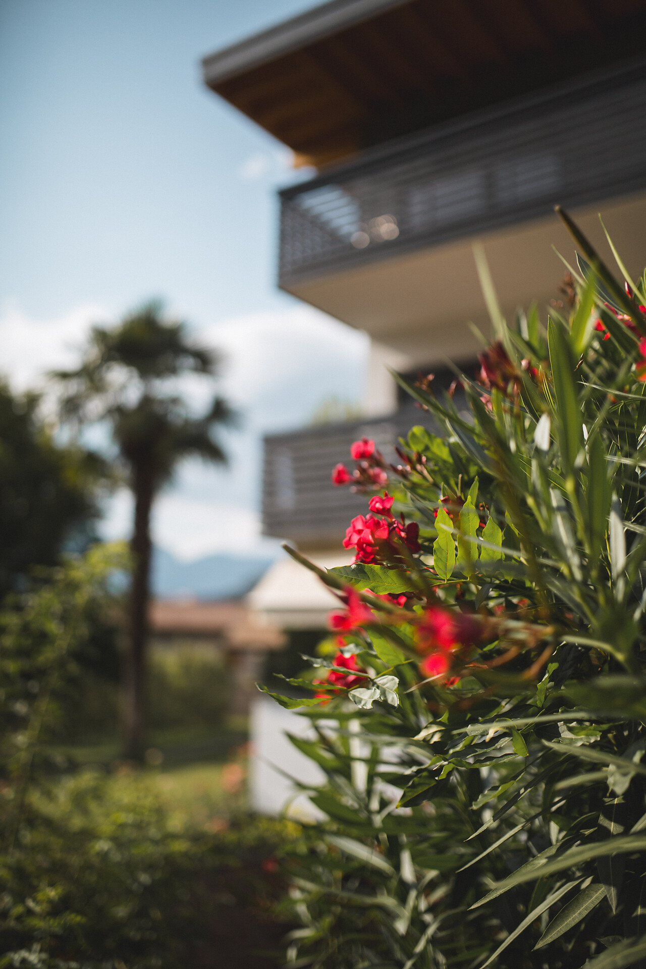 Julias Guesthouse