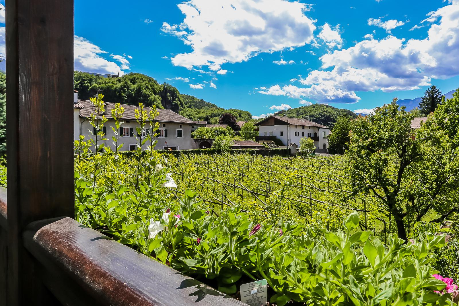 Garni Meinrad Ora 10 suedtirol.info