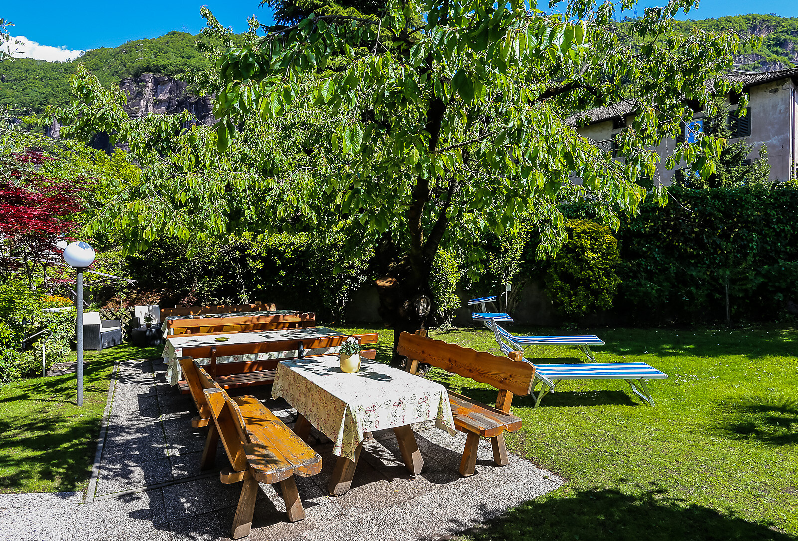 Giardino
