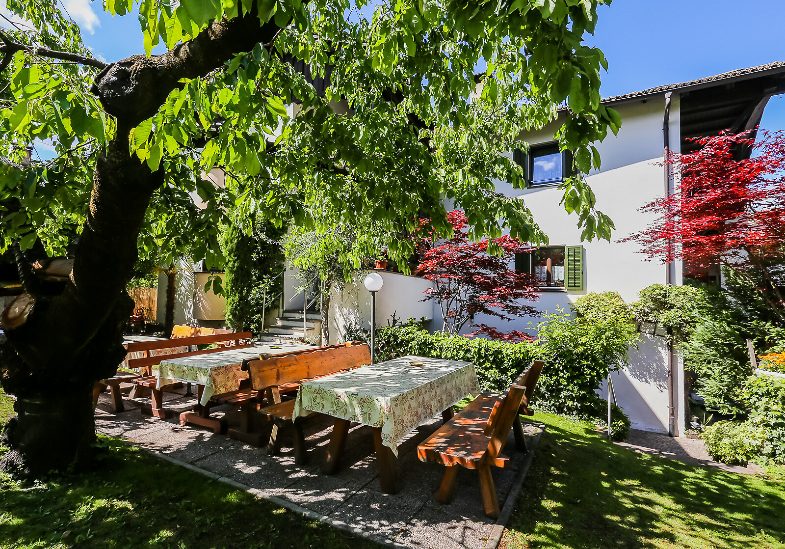 Giardino