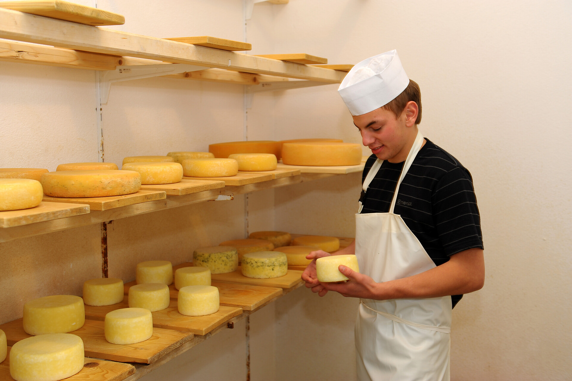 cheese