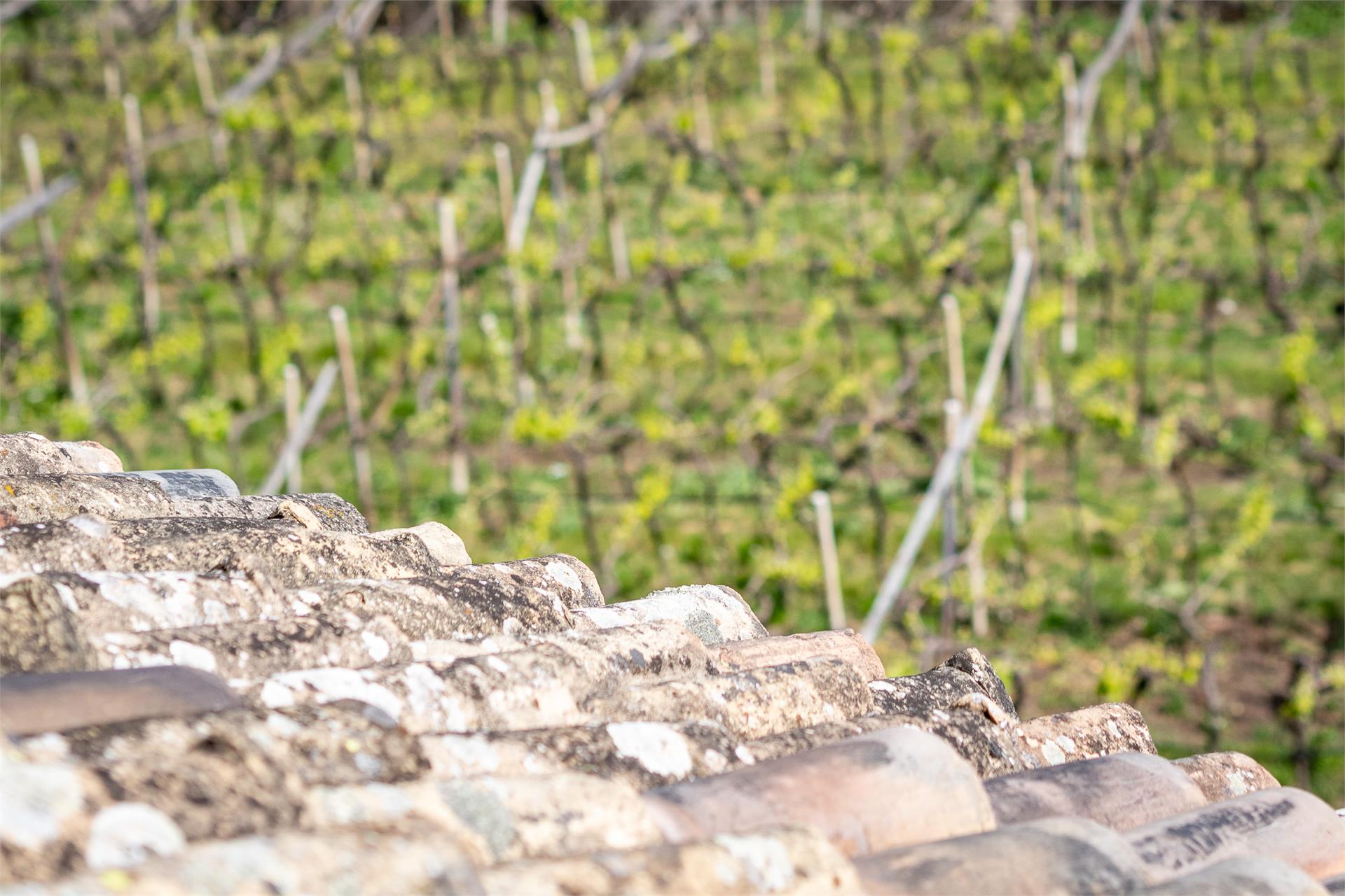 Garni Vogelmaierhof Kaltern an der Weinstraße/Caldaro sulla Strada del Vino 17 suedtirol.info