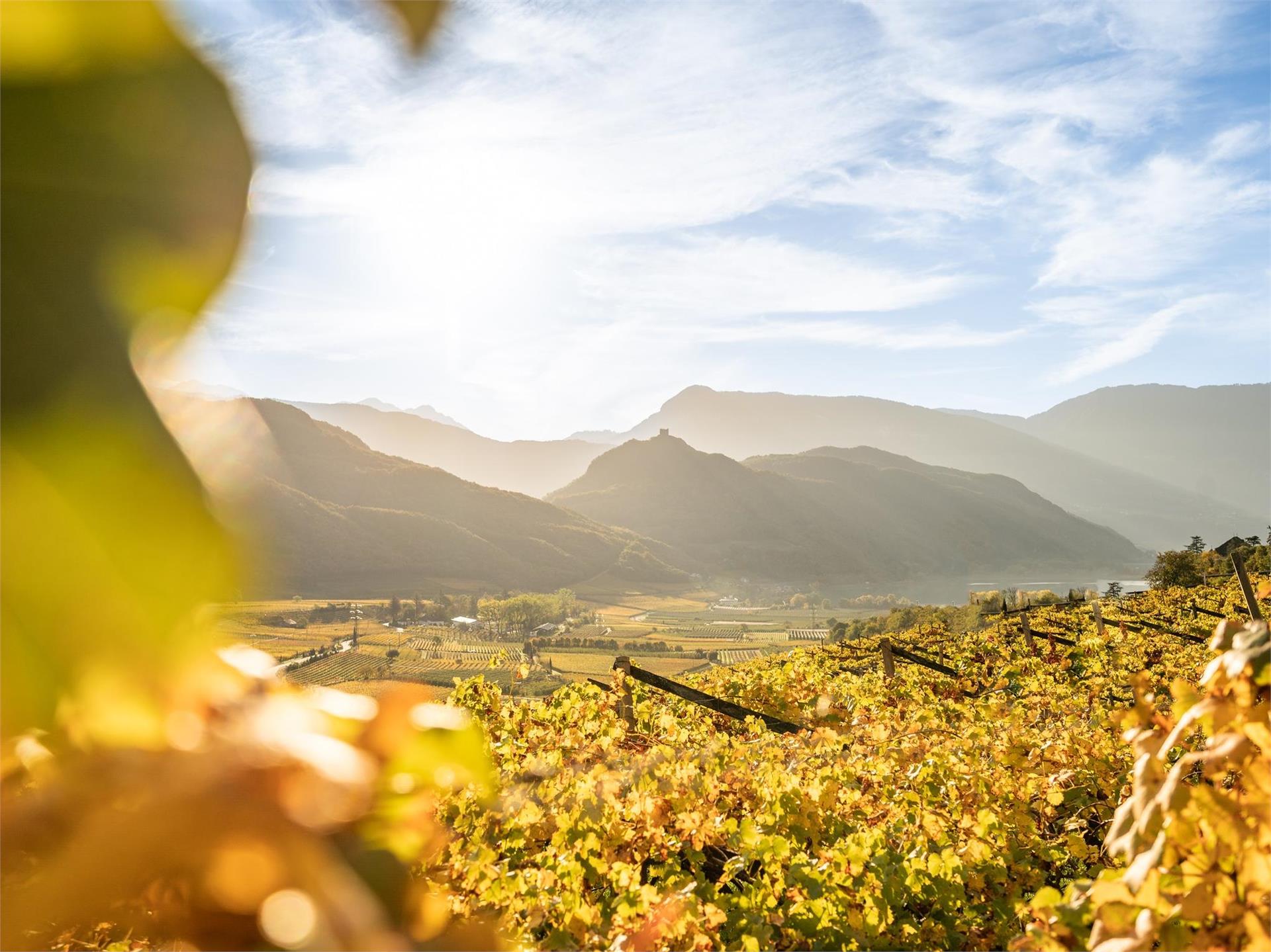 Garni Ilke Kaltern an der Weinstraße/Caldaro sulla Strada del Vino 1 suedtirol.info