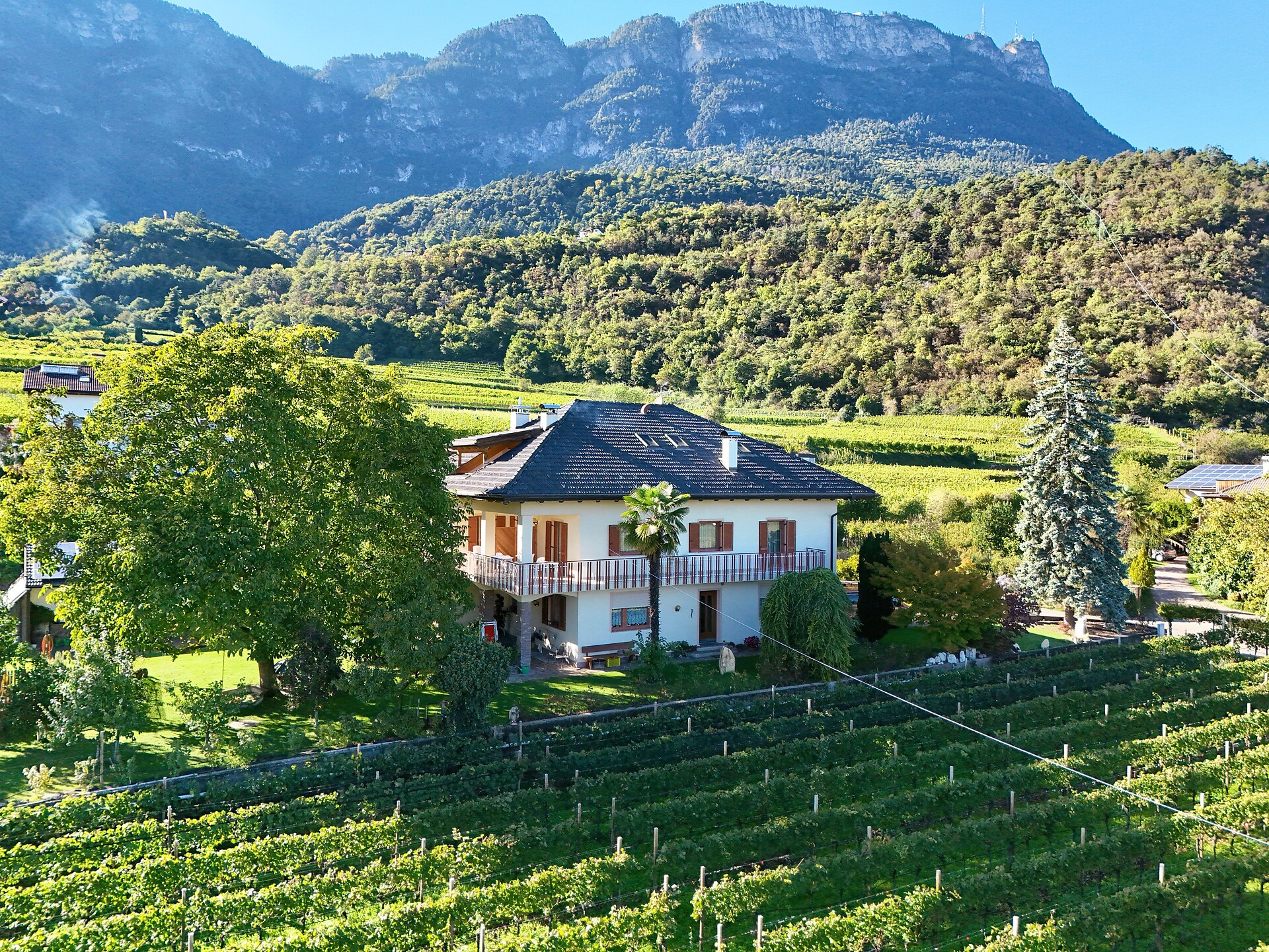 Gästehaus  Weinberg