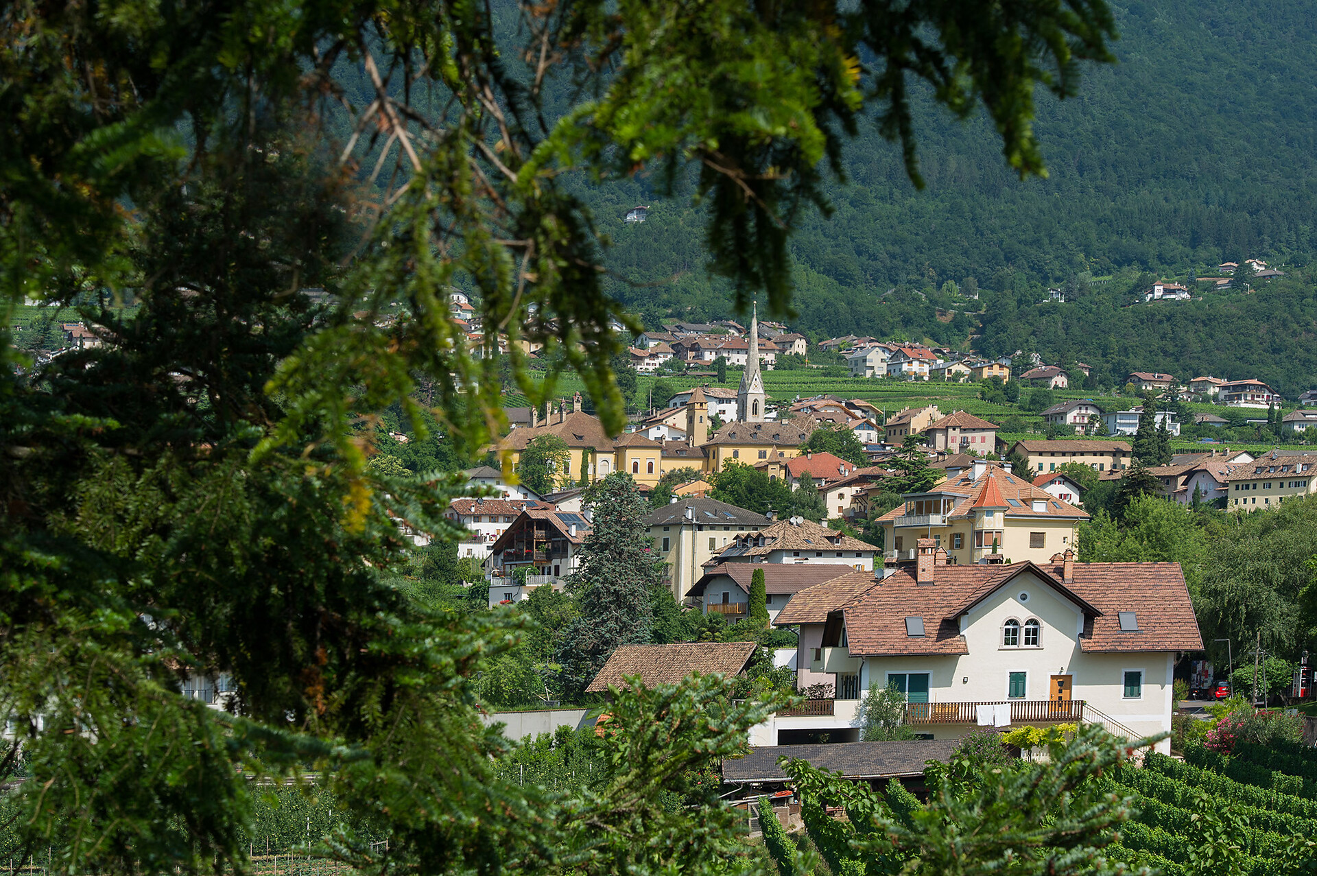 Panorama
