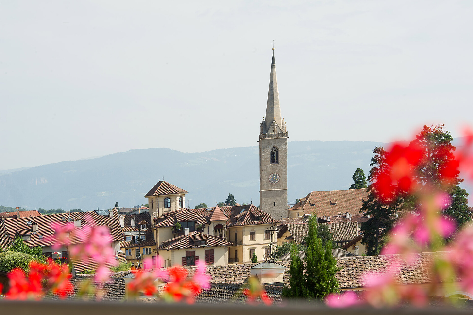 Panorama