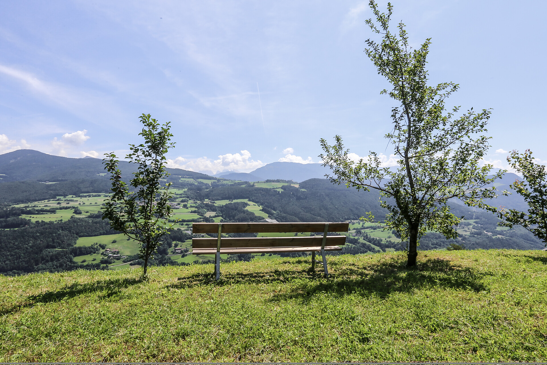 Panorama