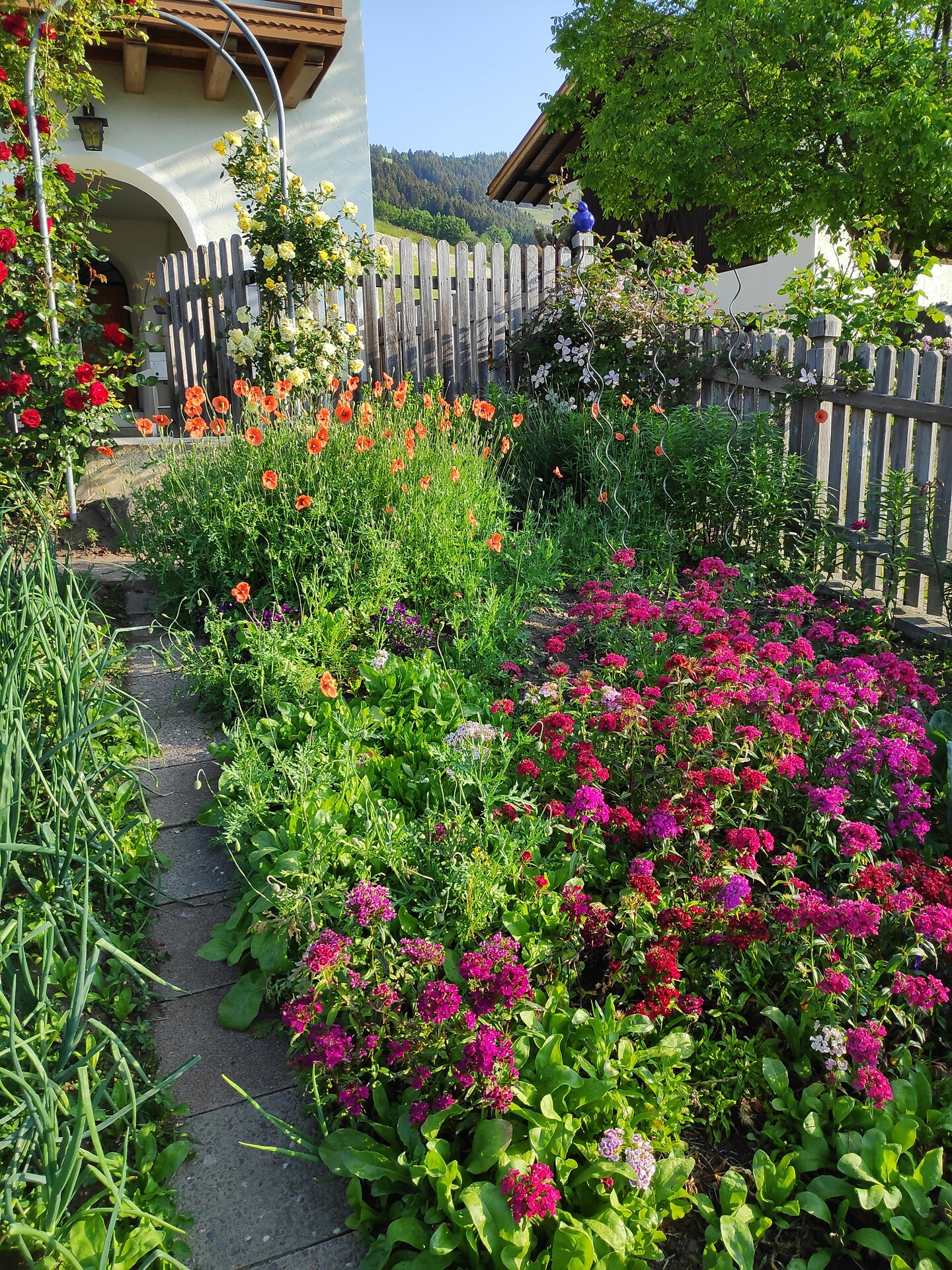 unser Garten
