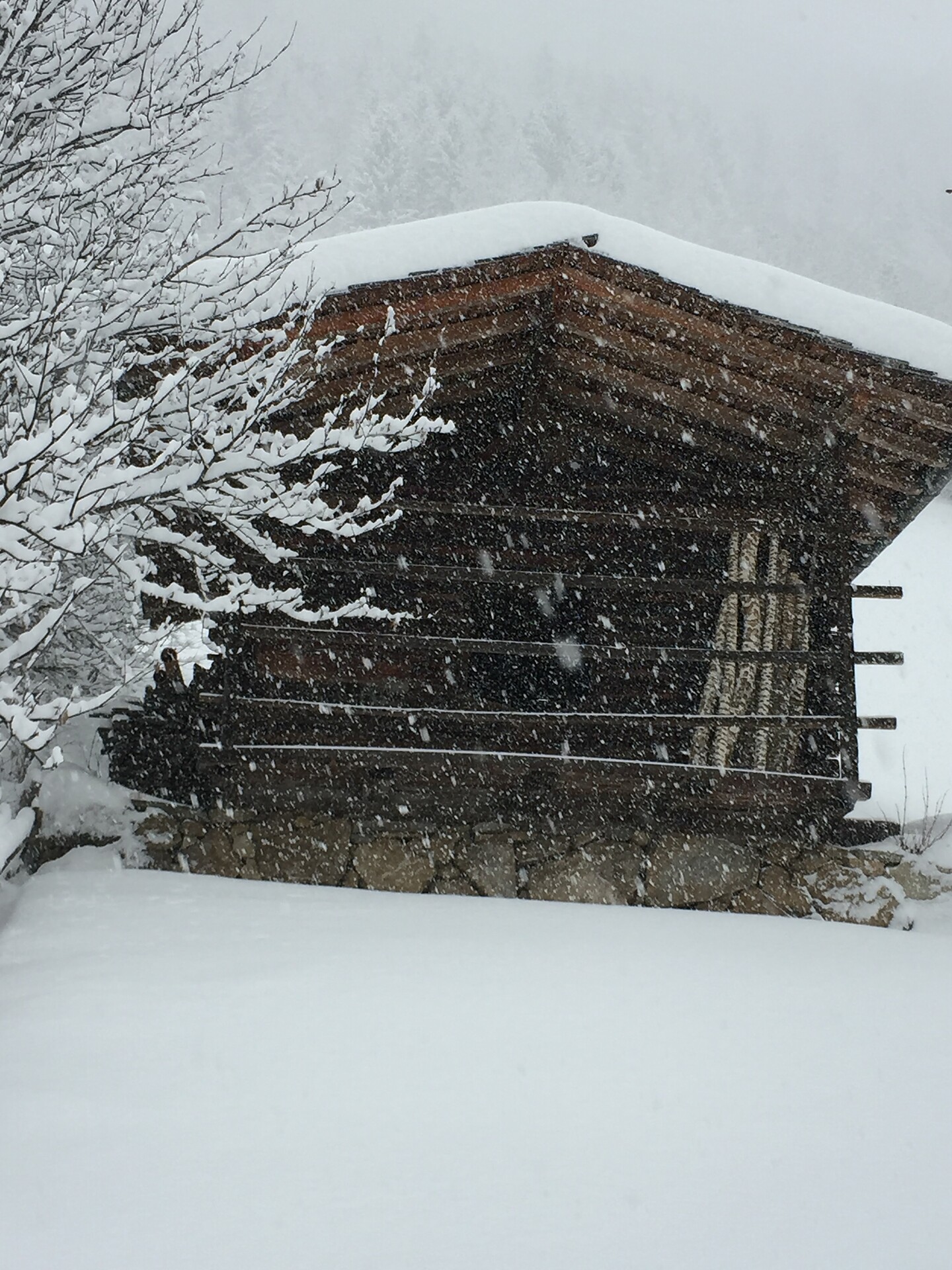 "Machhütte" im Winter