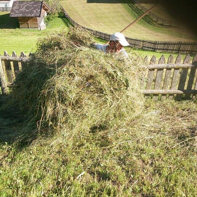 Arbeit auf dem Feld