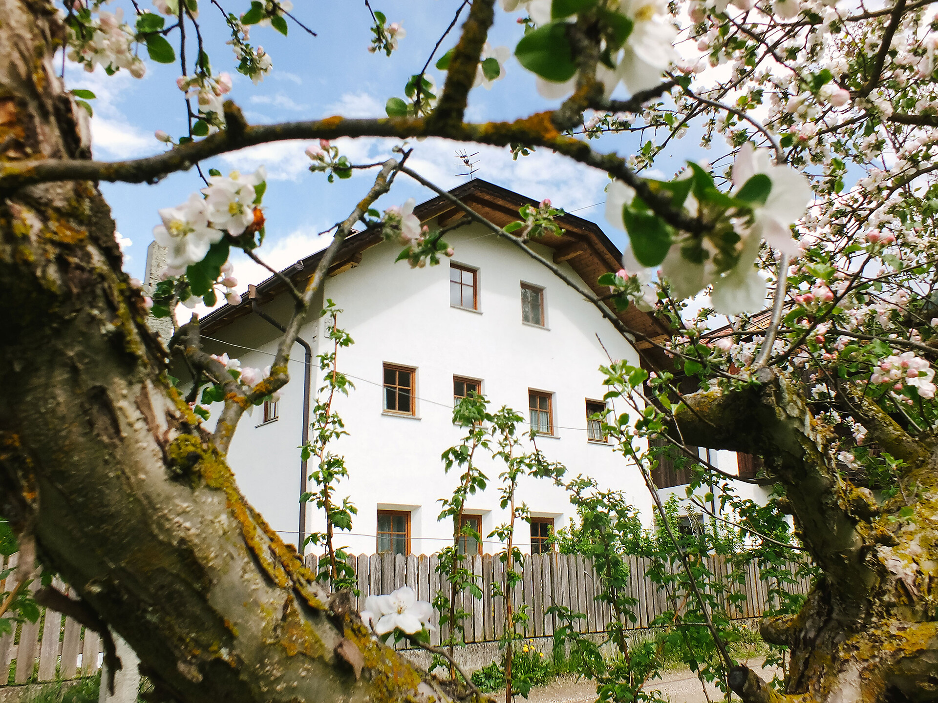 Großflatscherhof Brunico 2 suedtirol.info