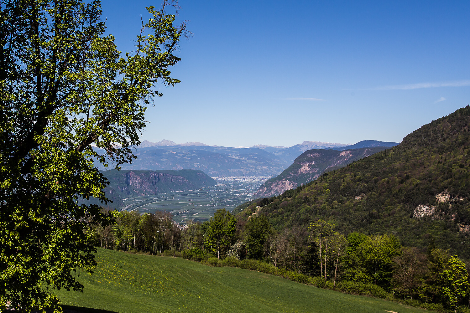 Panorama