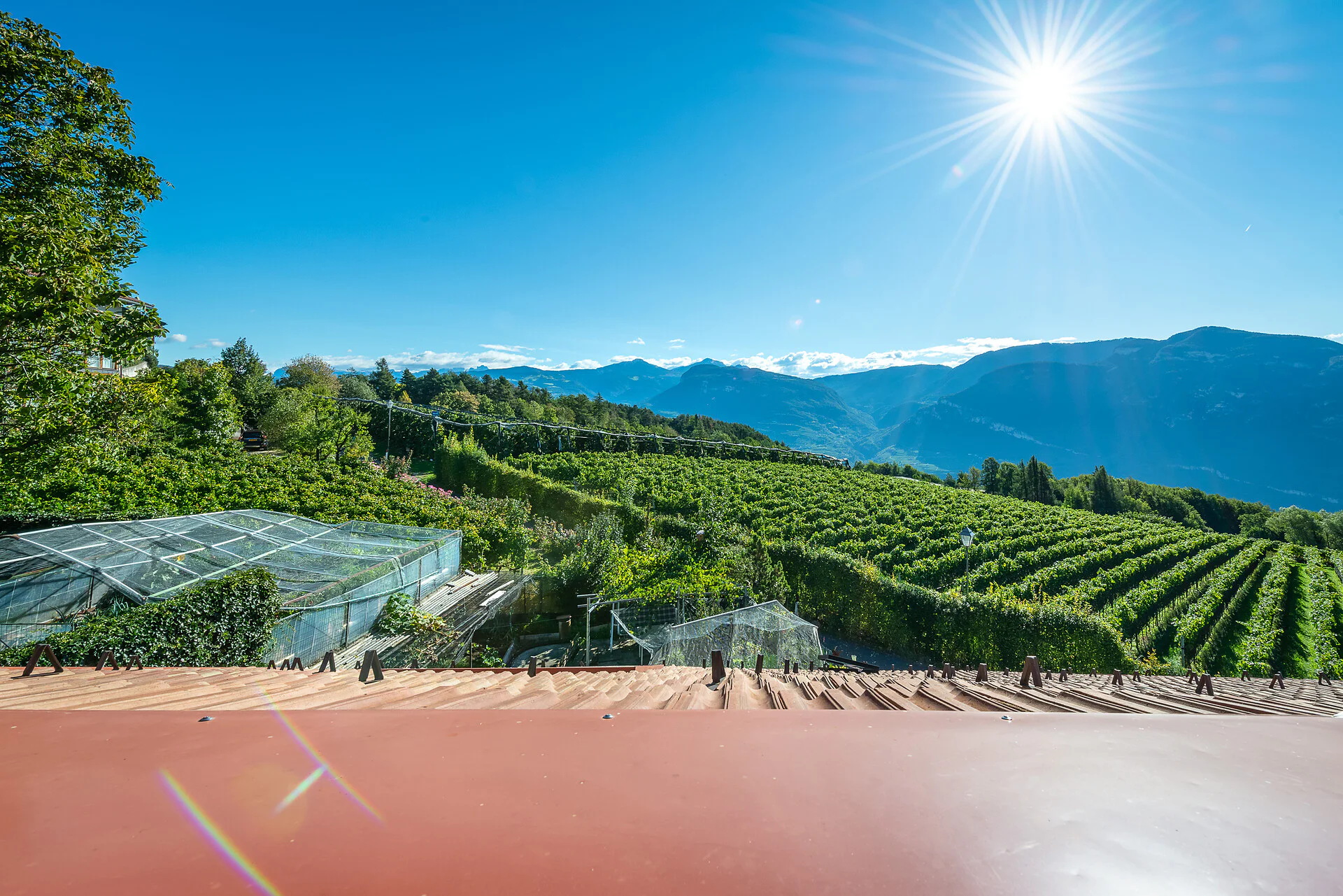 Albergo/Ristorante Caroline Cortaccia sulla Strada del Vino 11 suedtirol.info