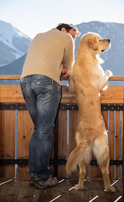 Dogs are welcome
