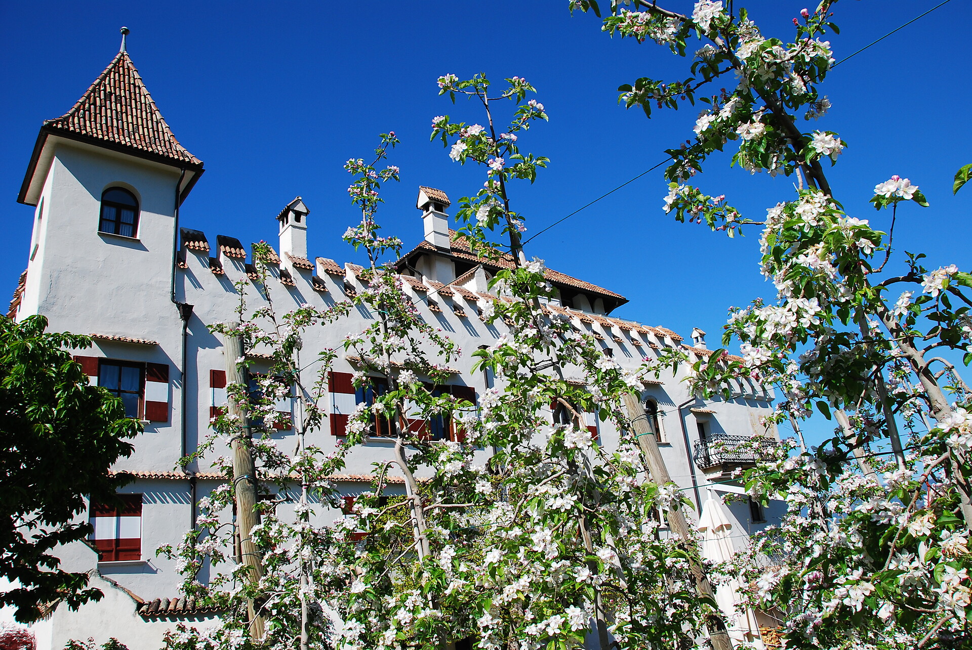 Residence Schloss Paschbach Eppan an der Weinstaße/Appiano sulla Strada del Vino 5 suedtirol.info