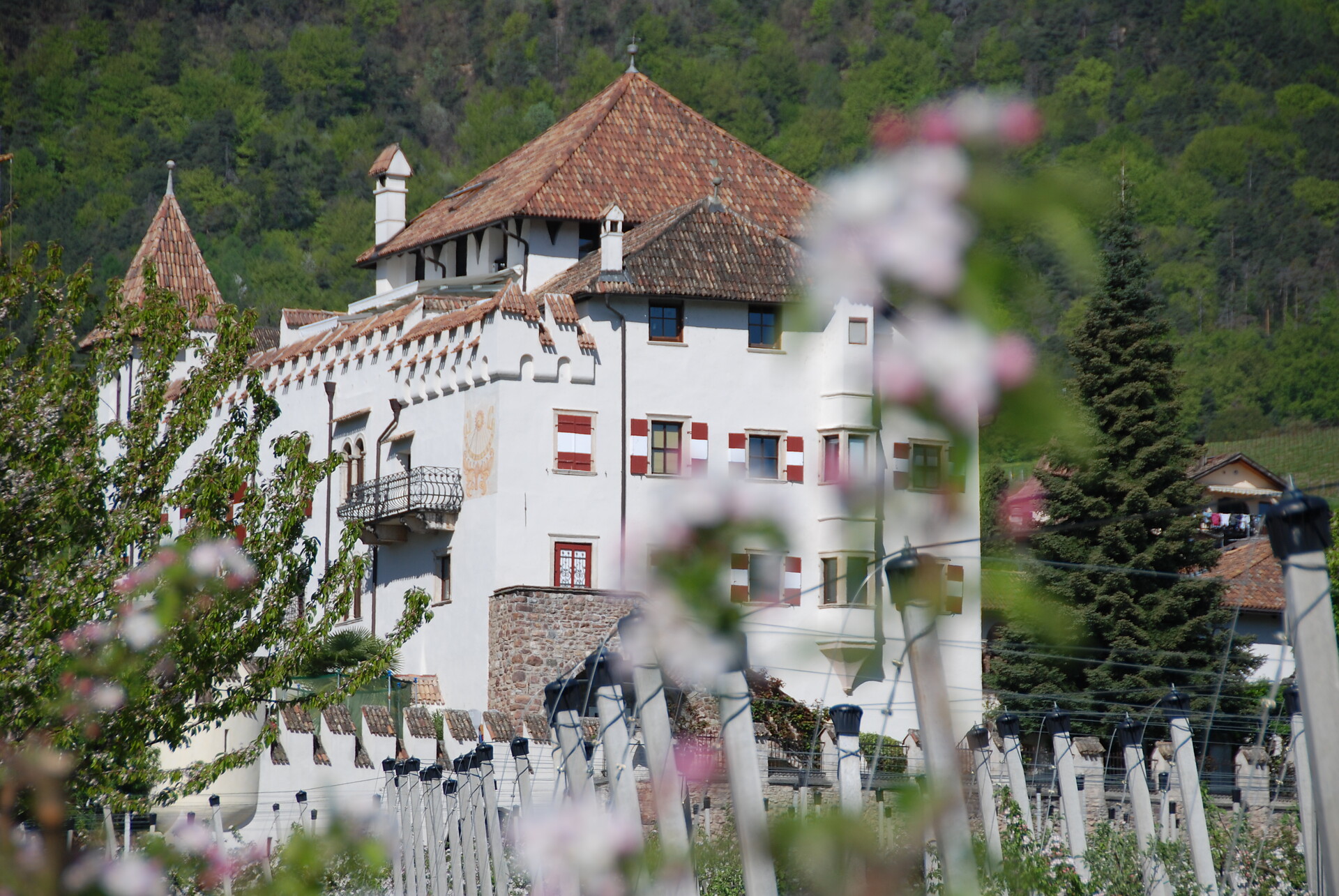 Residence Schloss Paschbach Eppan an der Weinstaße/Appiano sulla Strada del Vino 3 suedtirol.info