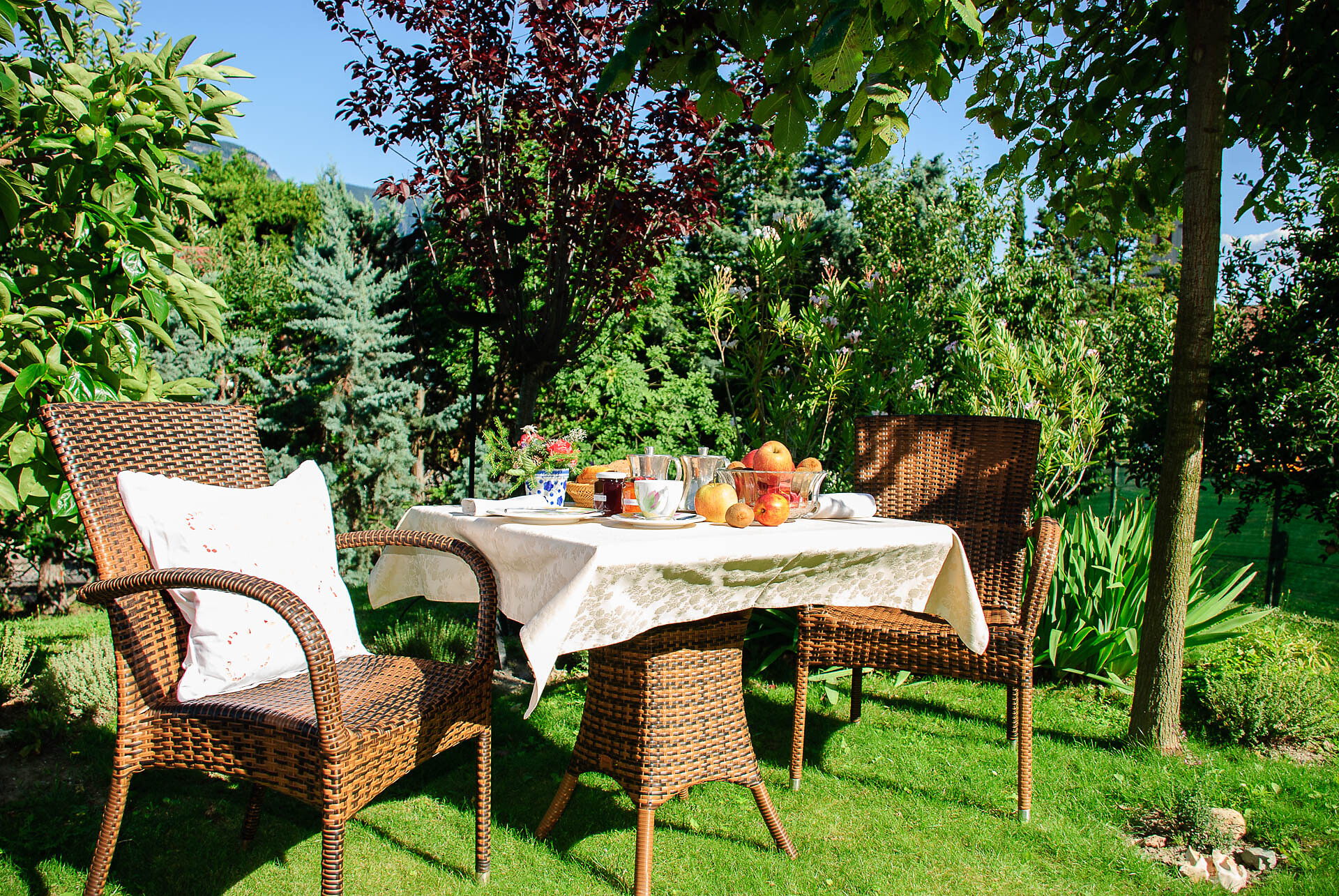 Breakfast in the garden