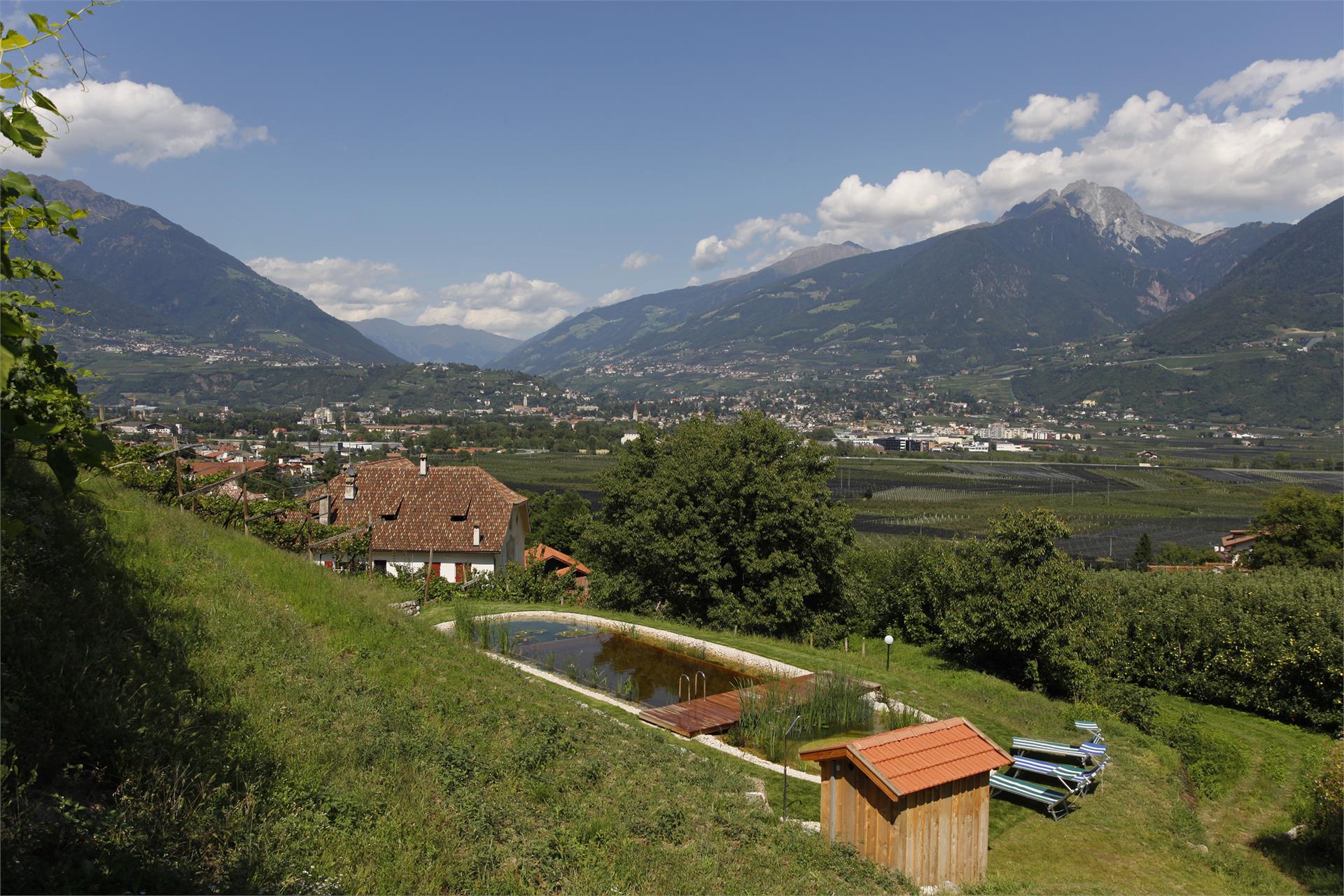Goidnerhof Marlengo 8 suedtirol.info