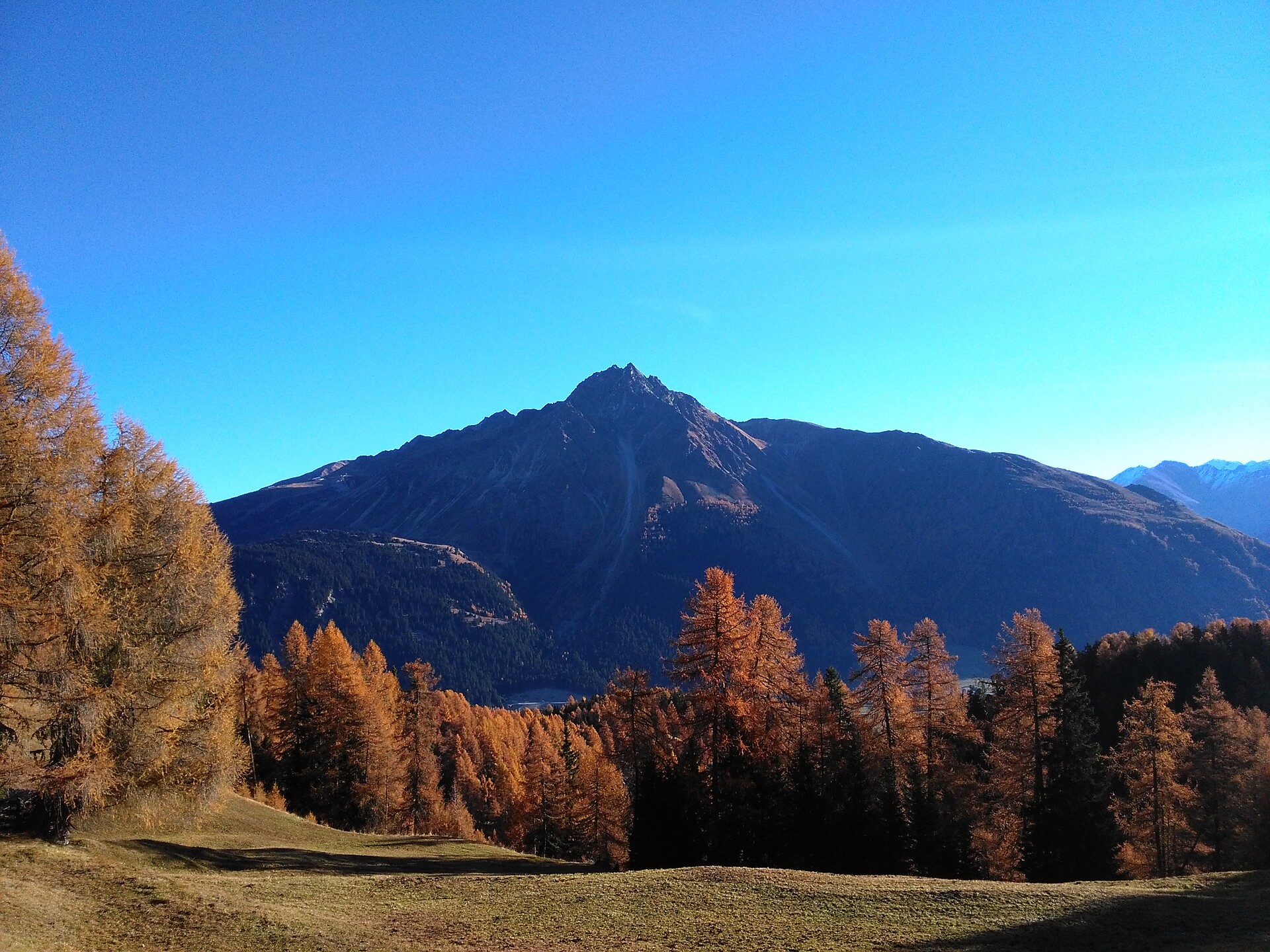 autumn
