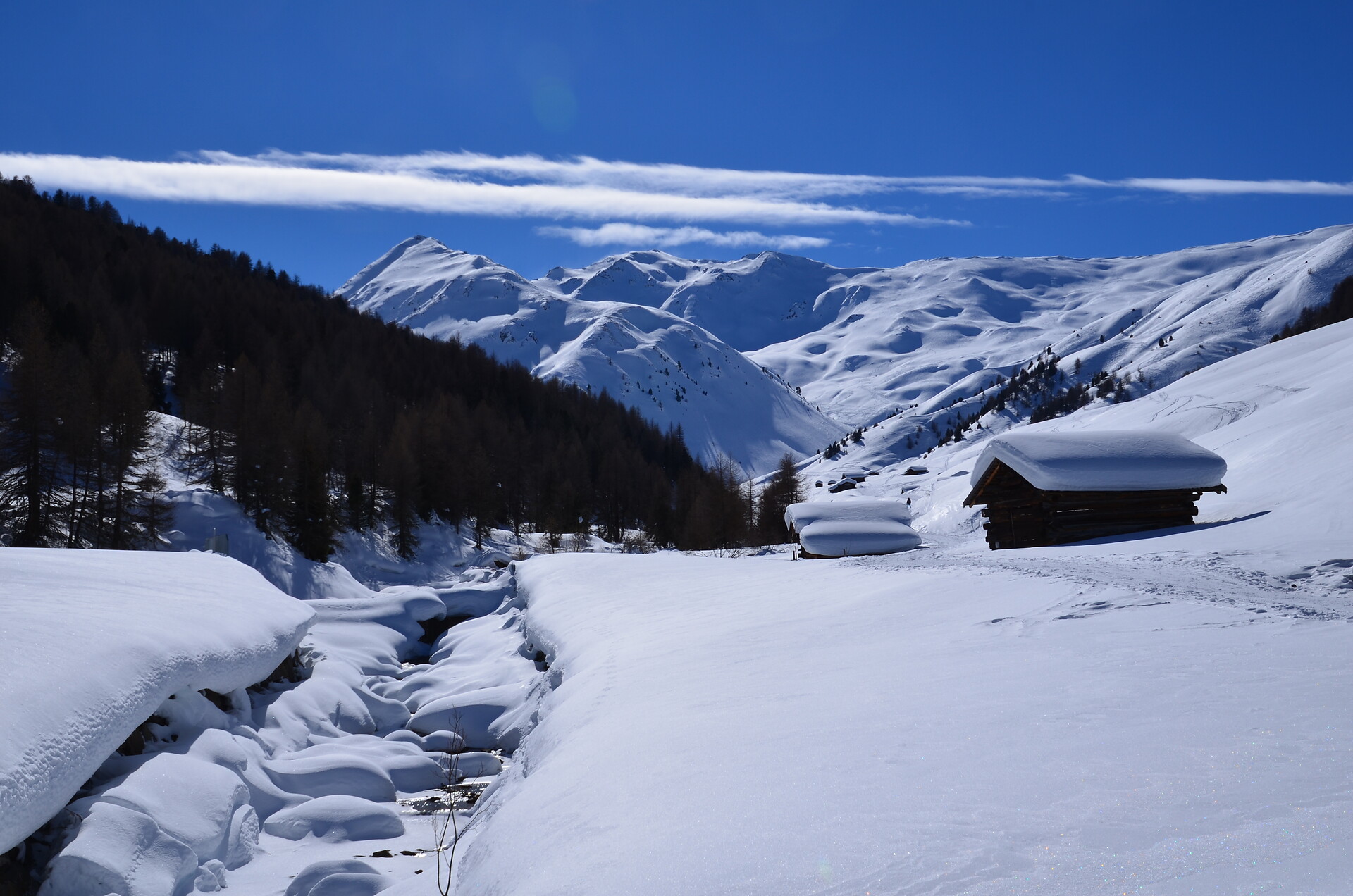 Winter