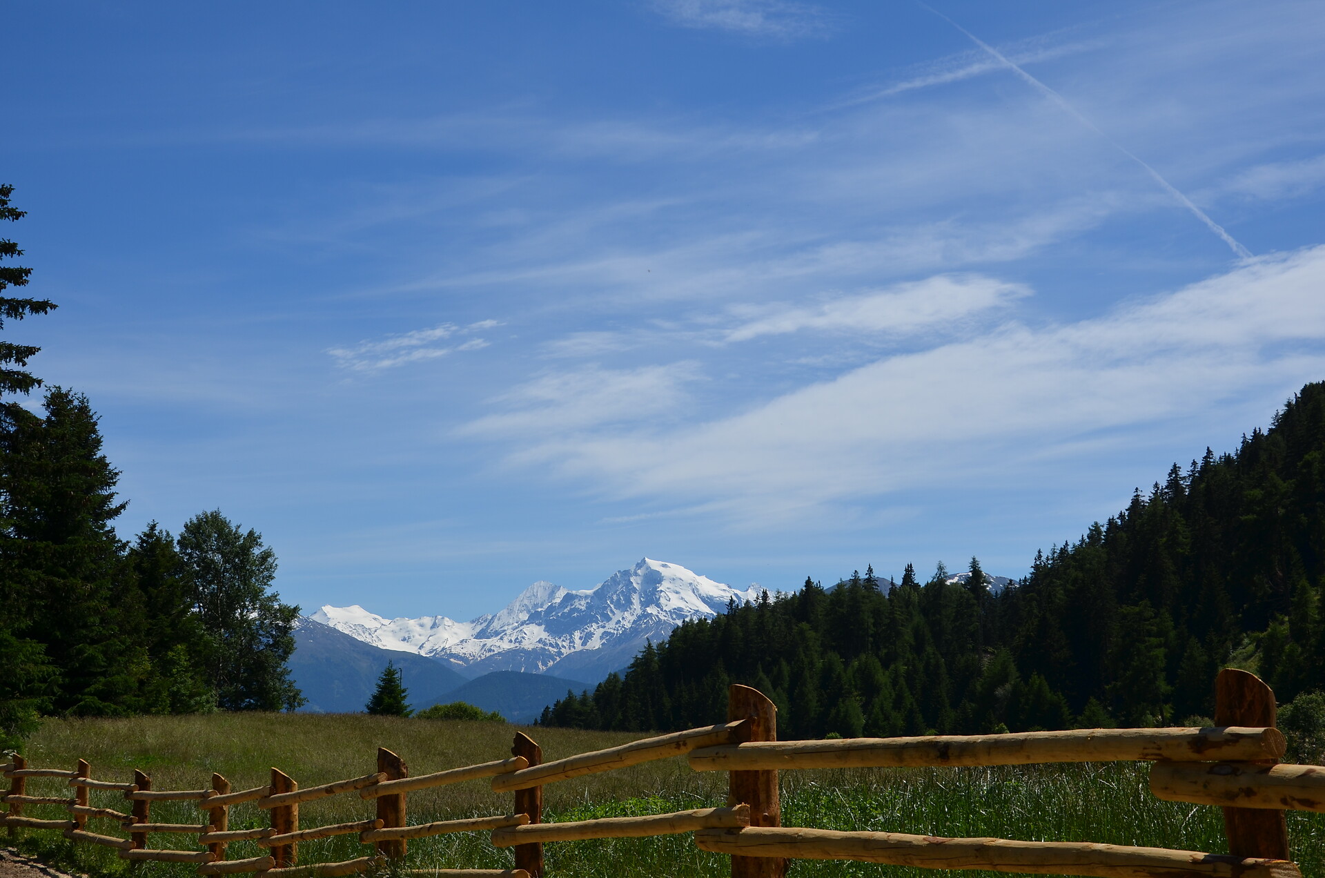 Blick zum Ortler