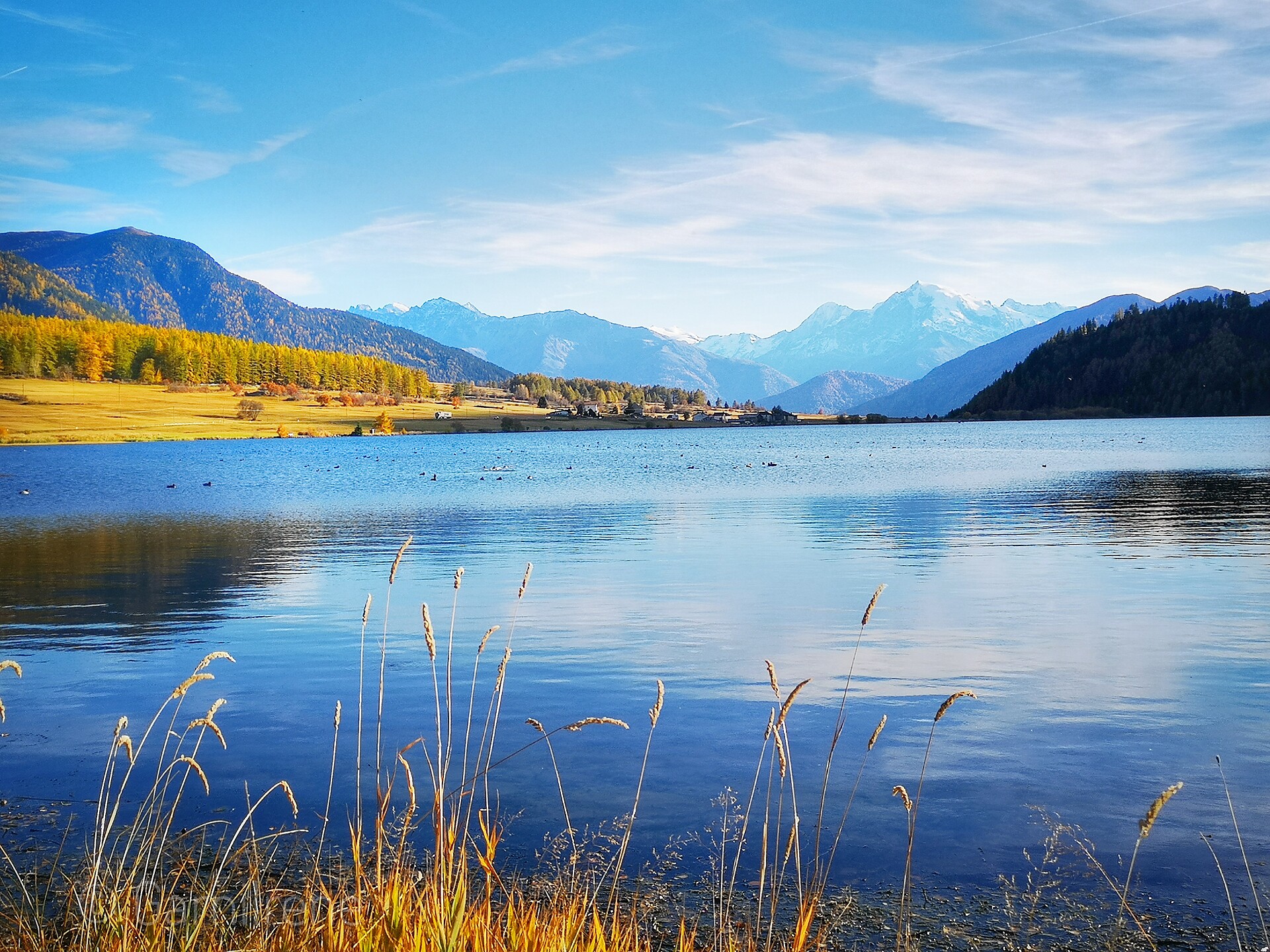 Haidersee