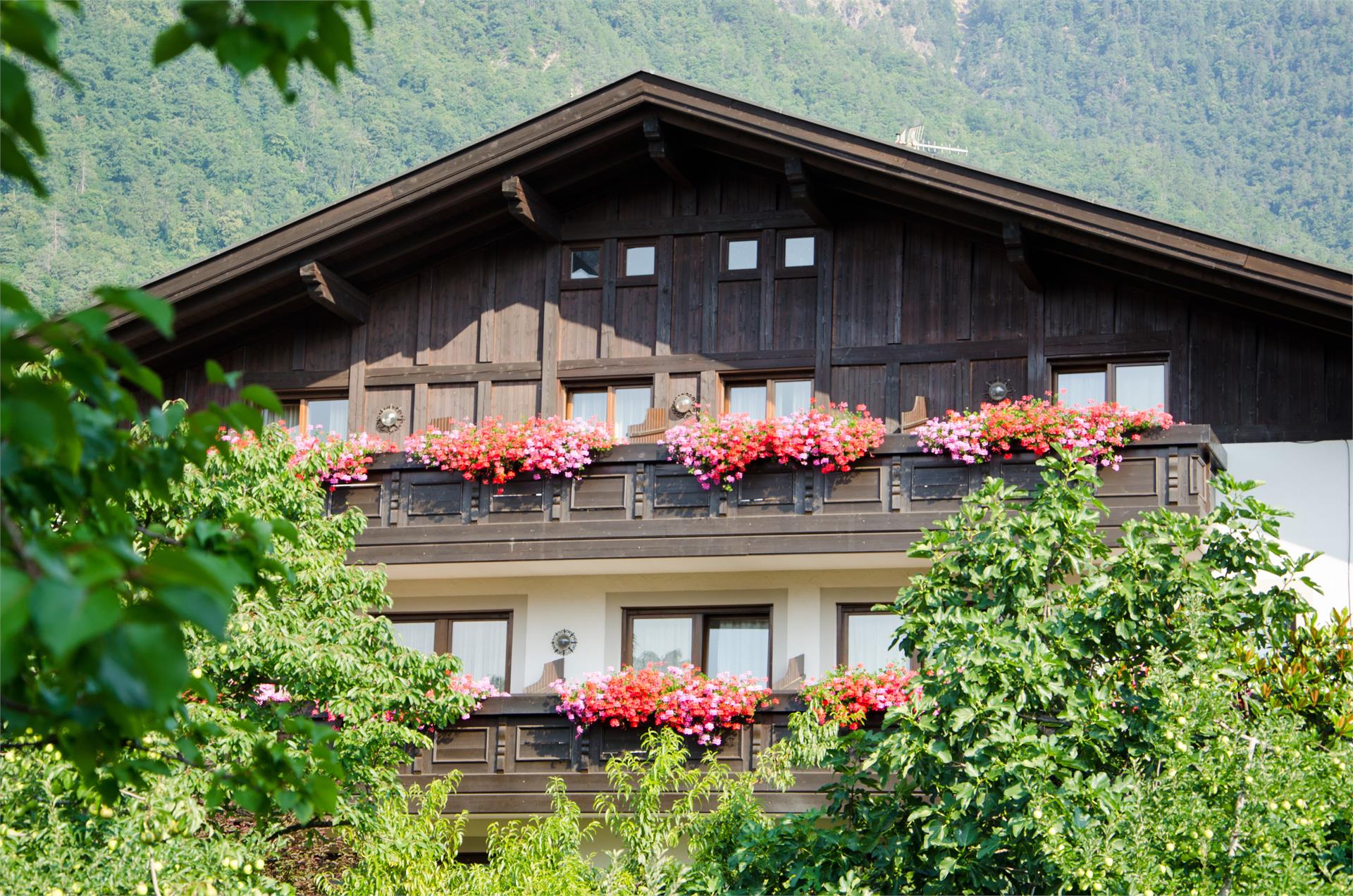Garni Haus Christl Lana 4 suedtirol.info
