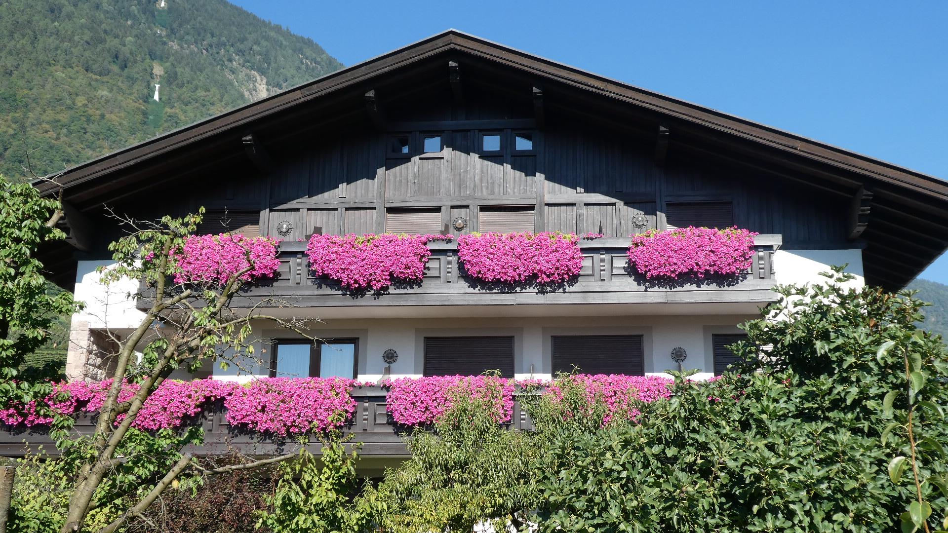 Garni Haus Christl Lana 2 suedtirol.info