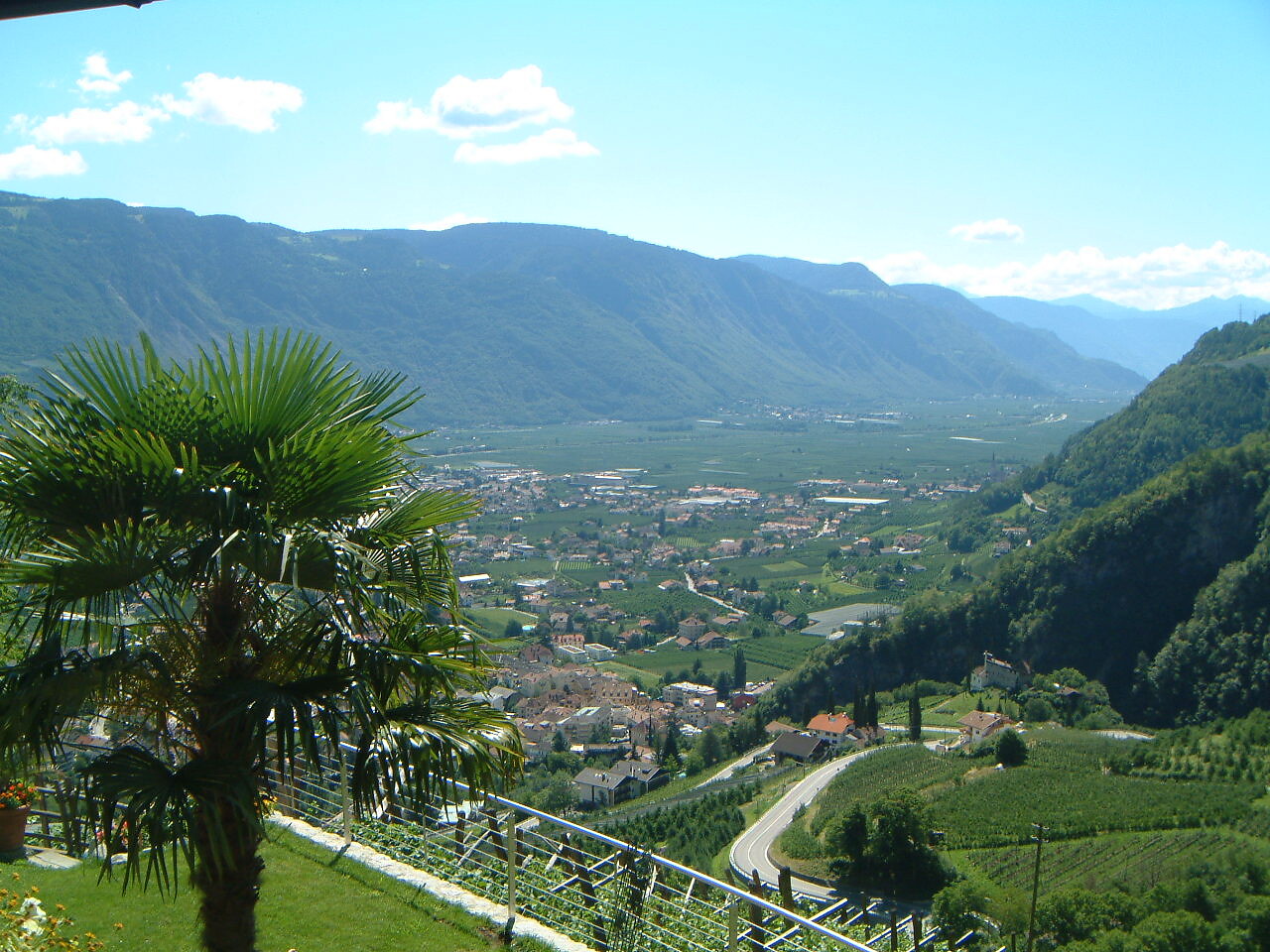 Panorama