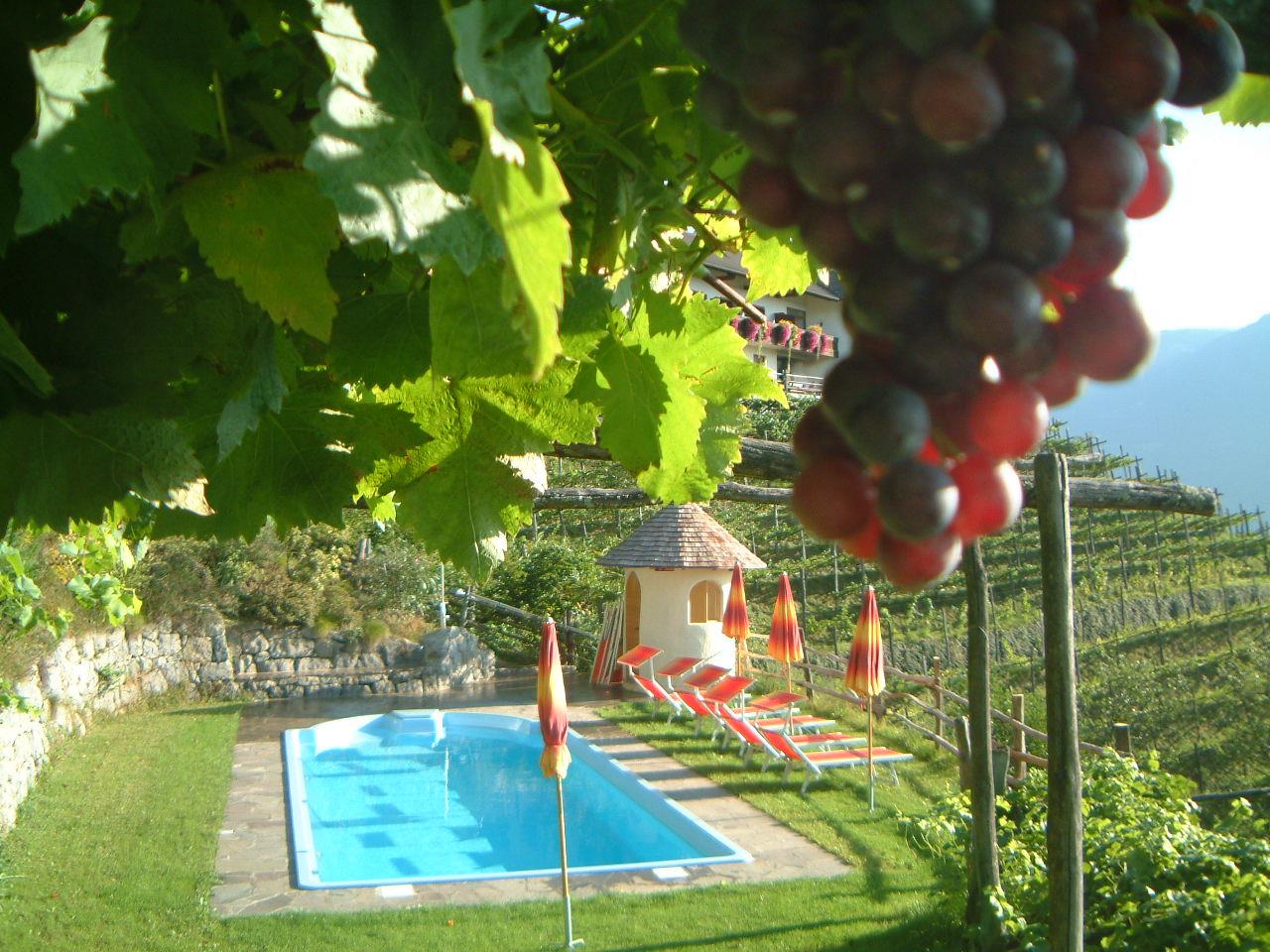 Garni-Hotel Vigilhof Lana 7 suedtirol.info