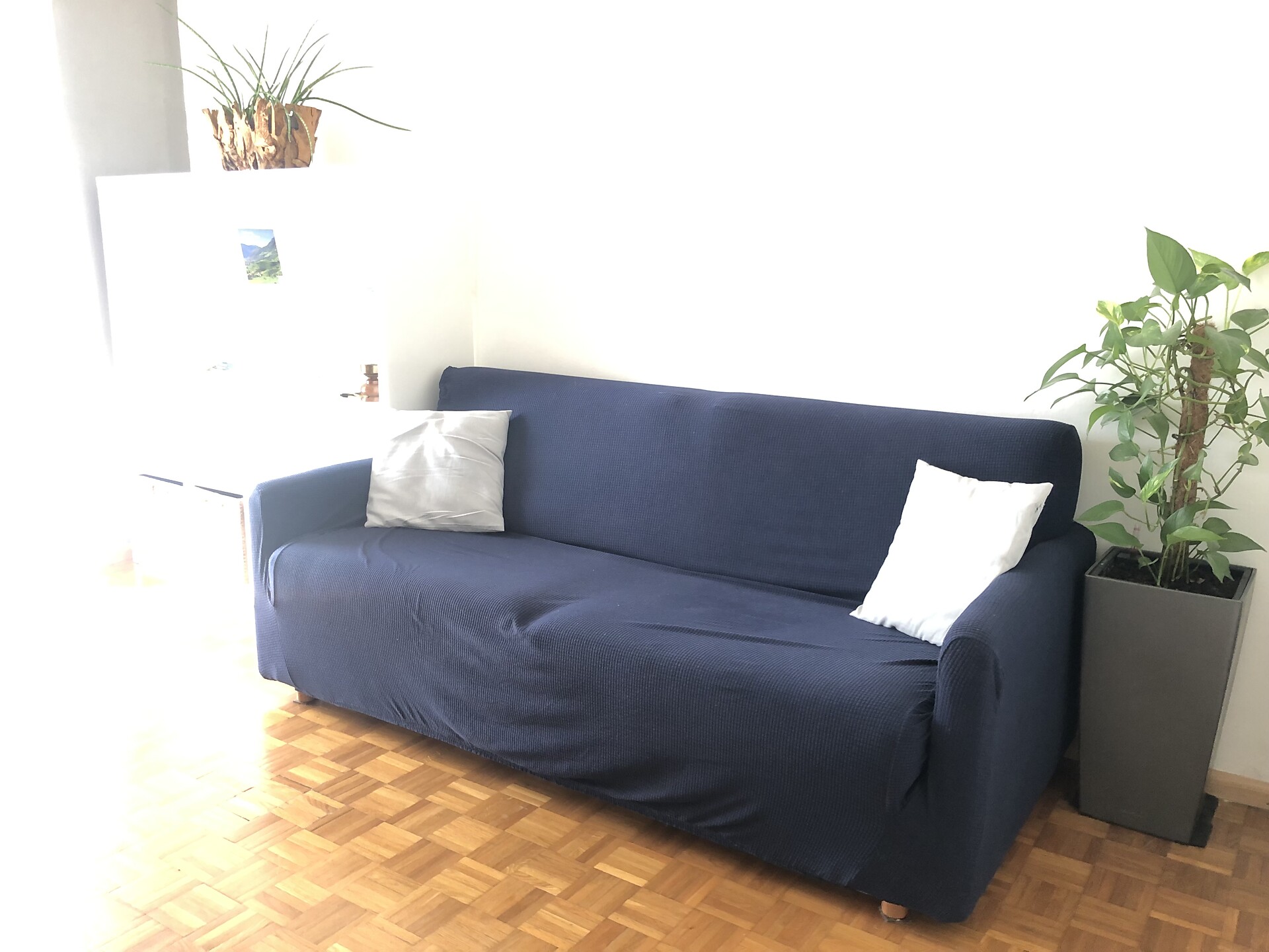 Guesthouse Gigli 2