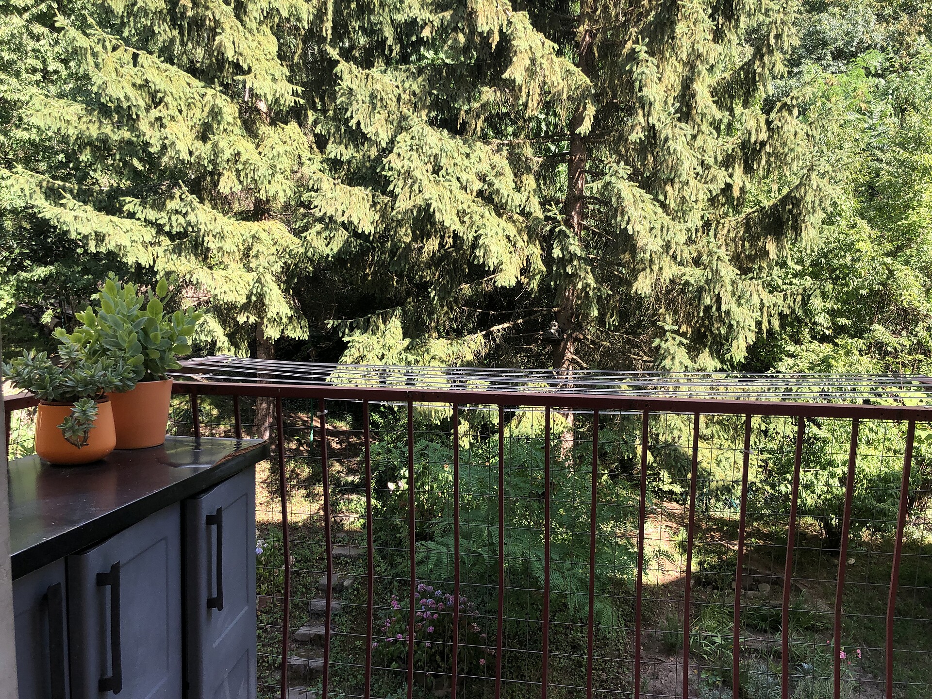 GUESTHOUSE GIGLI 2