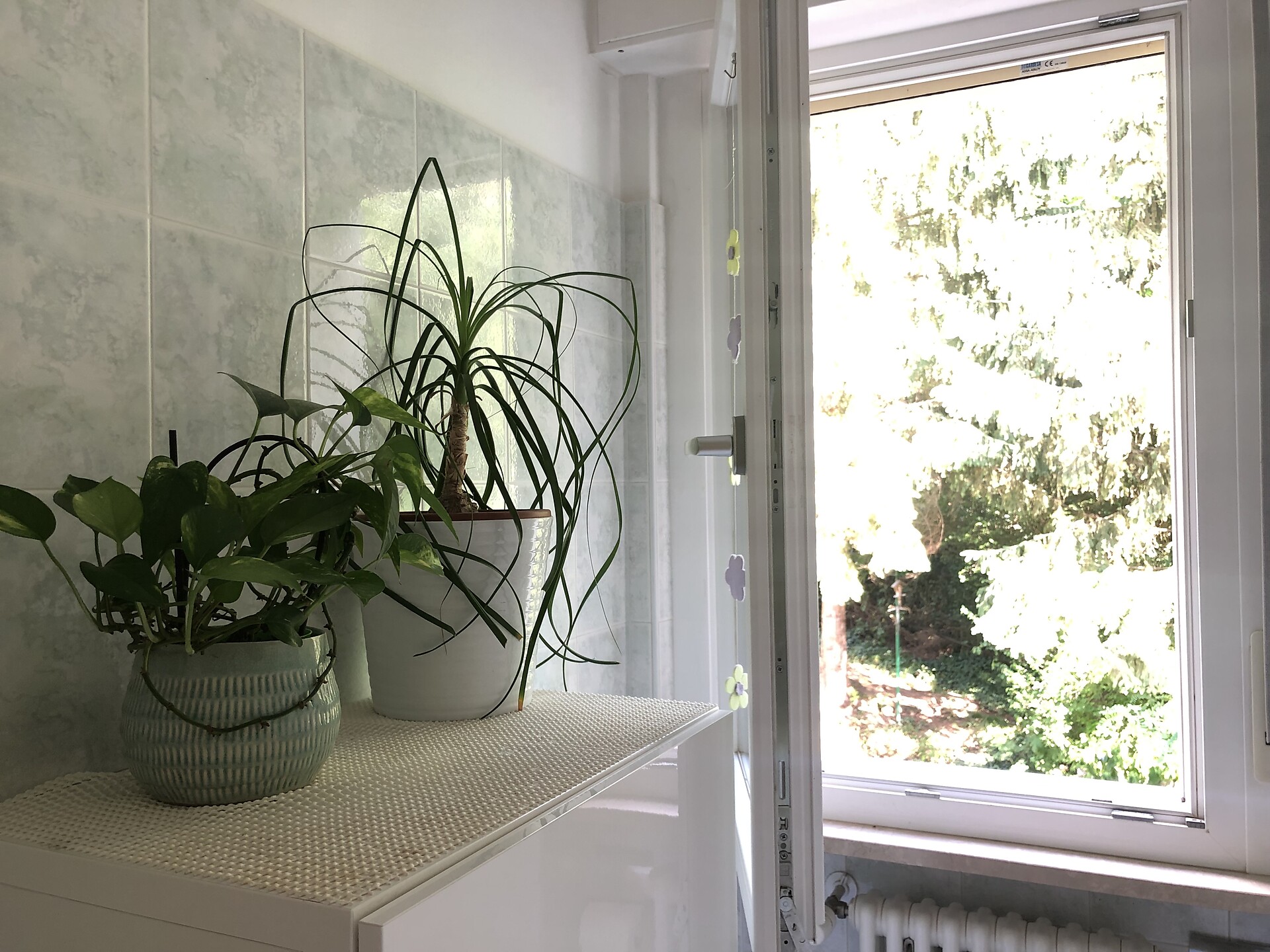 Guesthouse Gigli 2