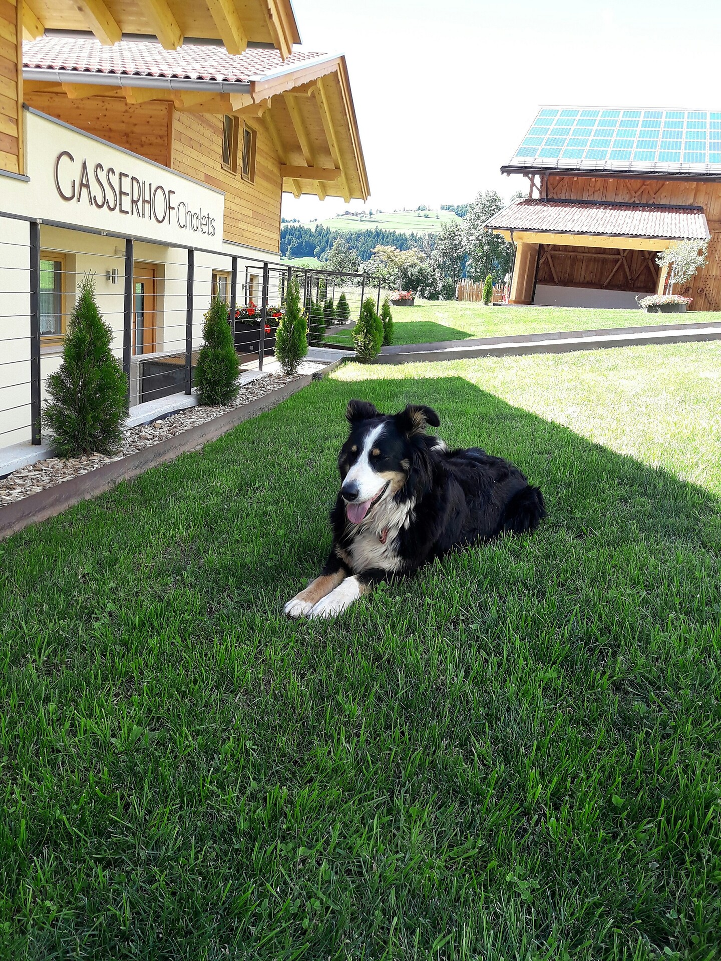 Chalets