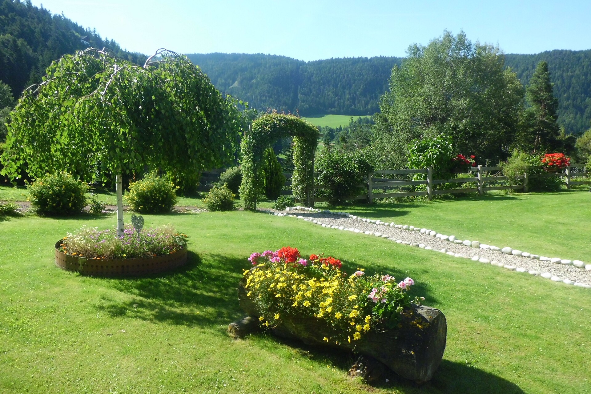 garden