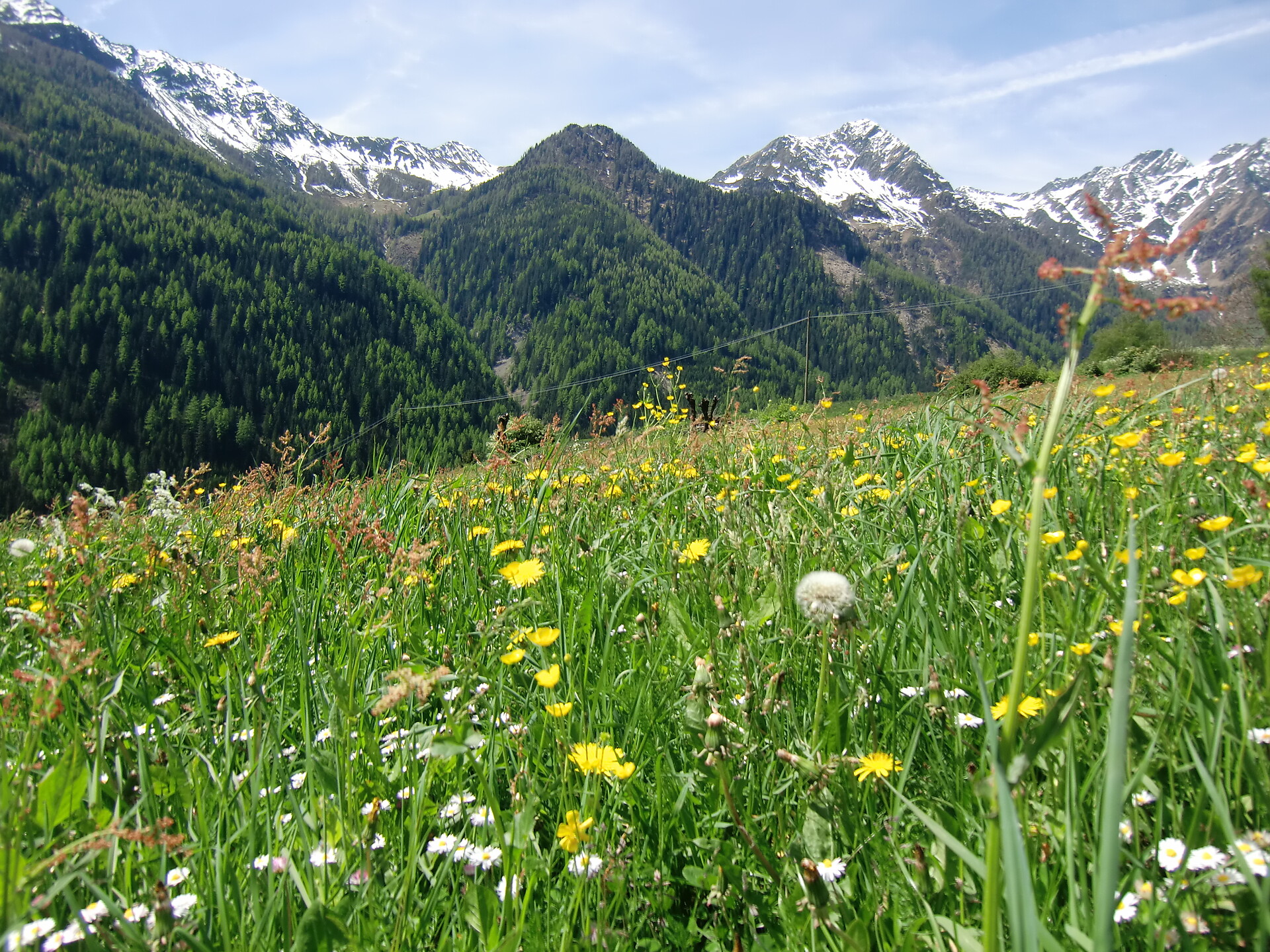Garni Kristall Mühlwald/Selva dei Molini 8 suedtirol.info