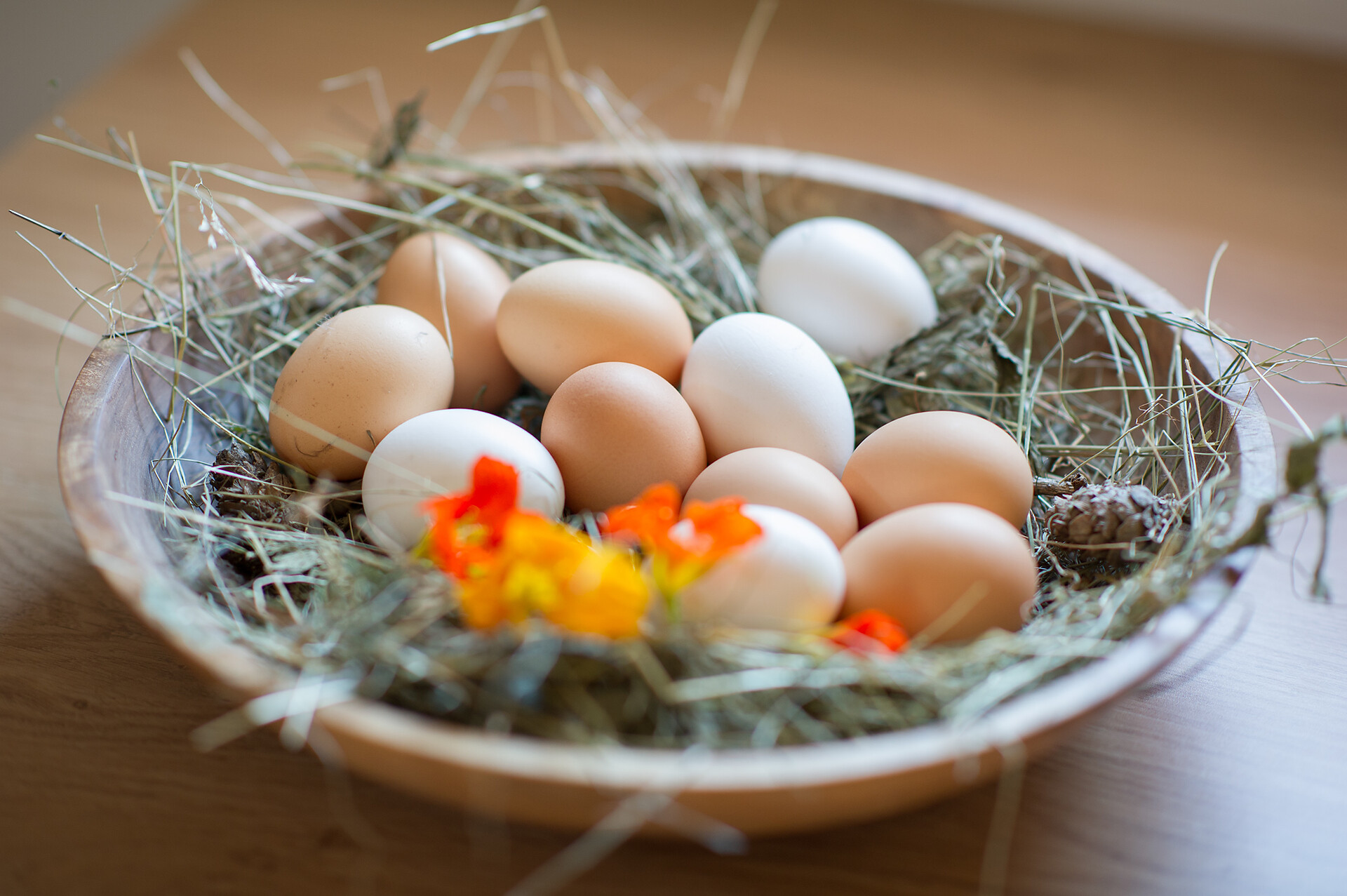 free range eggs