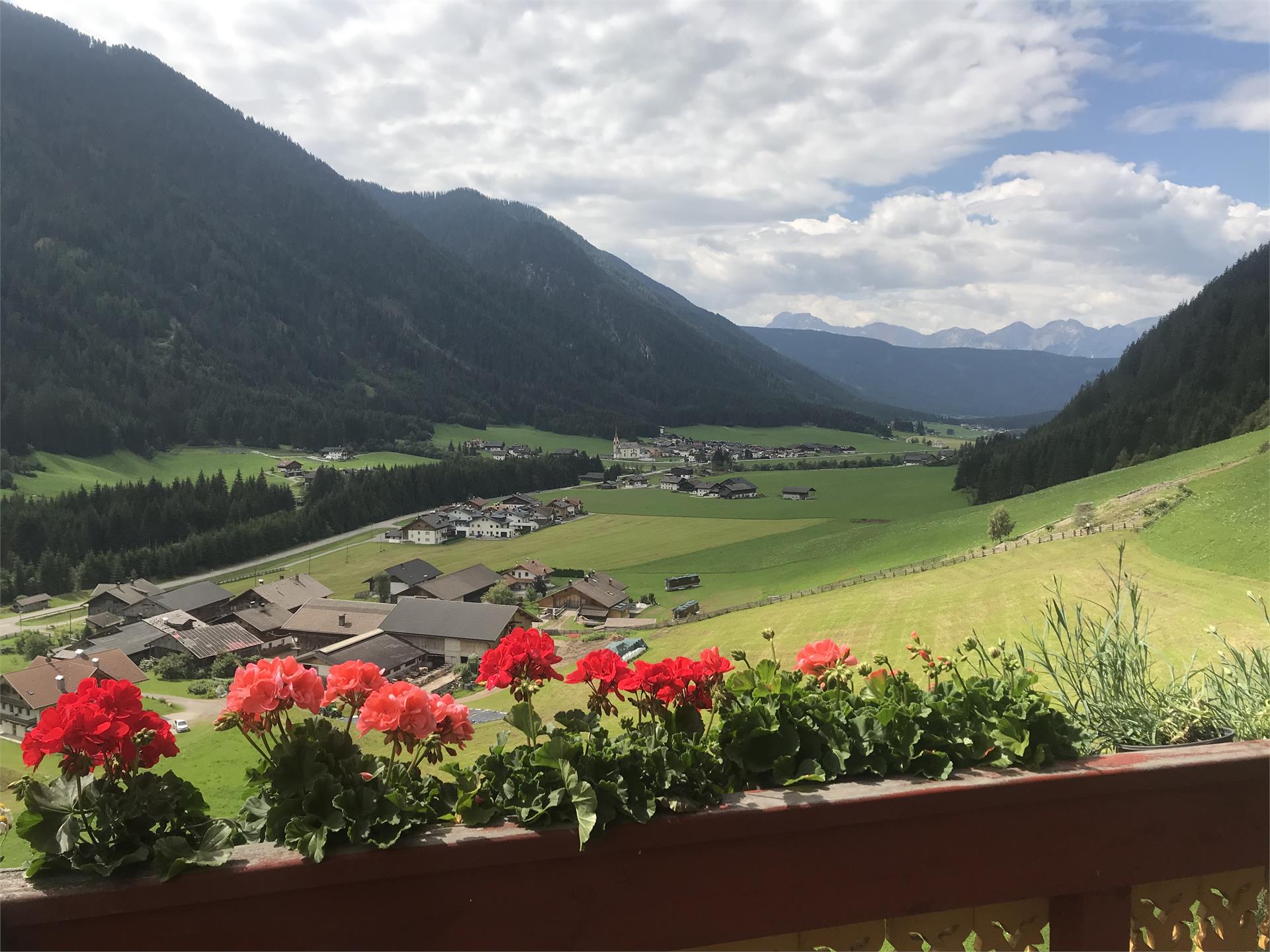 Grieshof am Pühel Valle di Casies 5 suedtirol.info