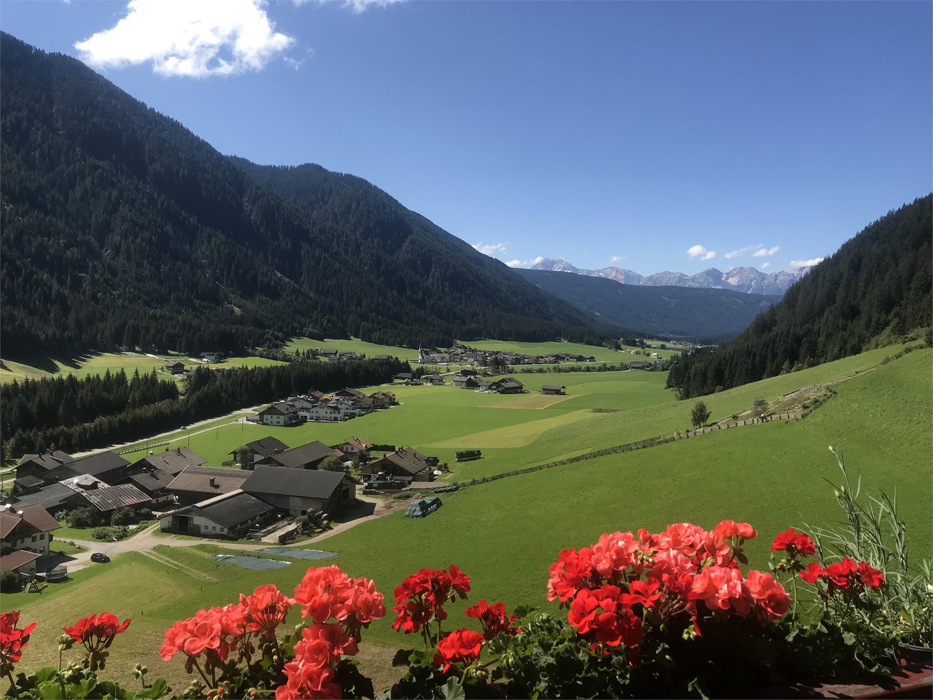 Grieshof am Pühel Valle di Casies 7 suedtirol.info