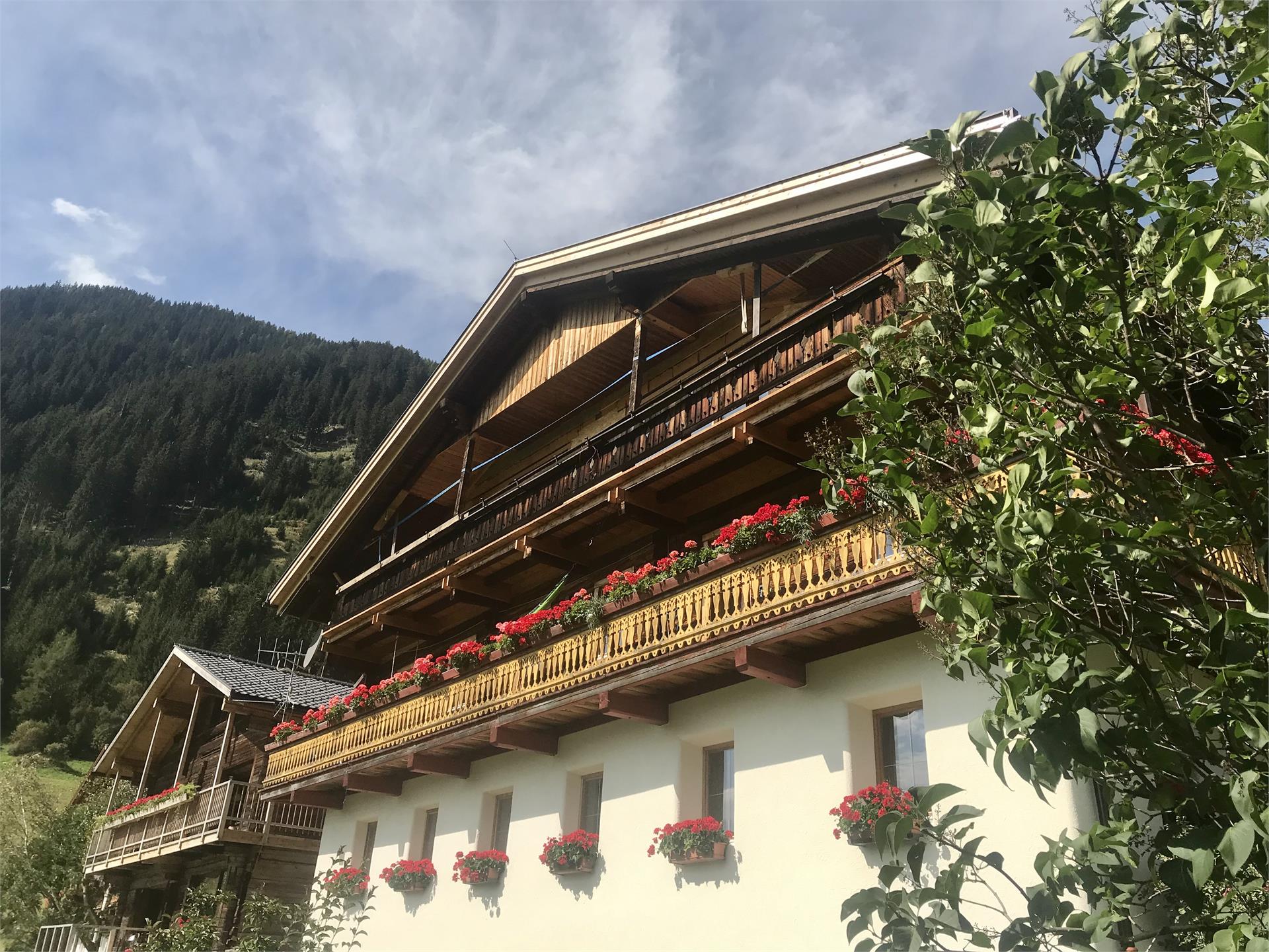 Grieshof am Pühel Valle di Casies 2 suedtirol.info