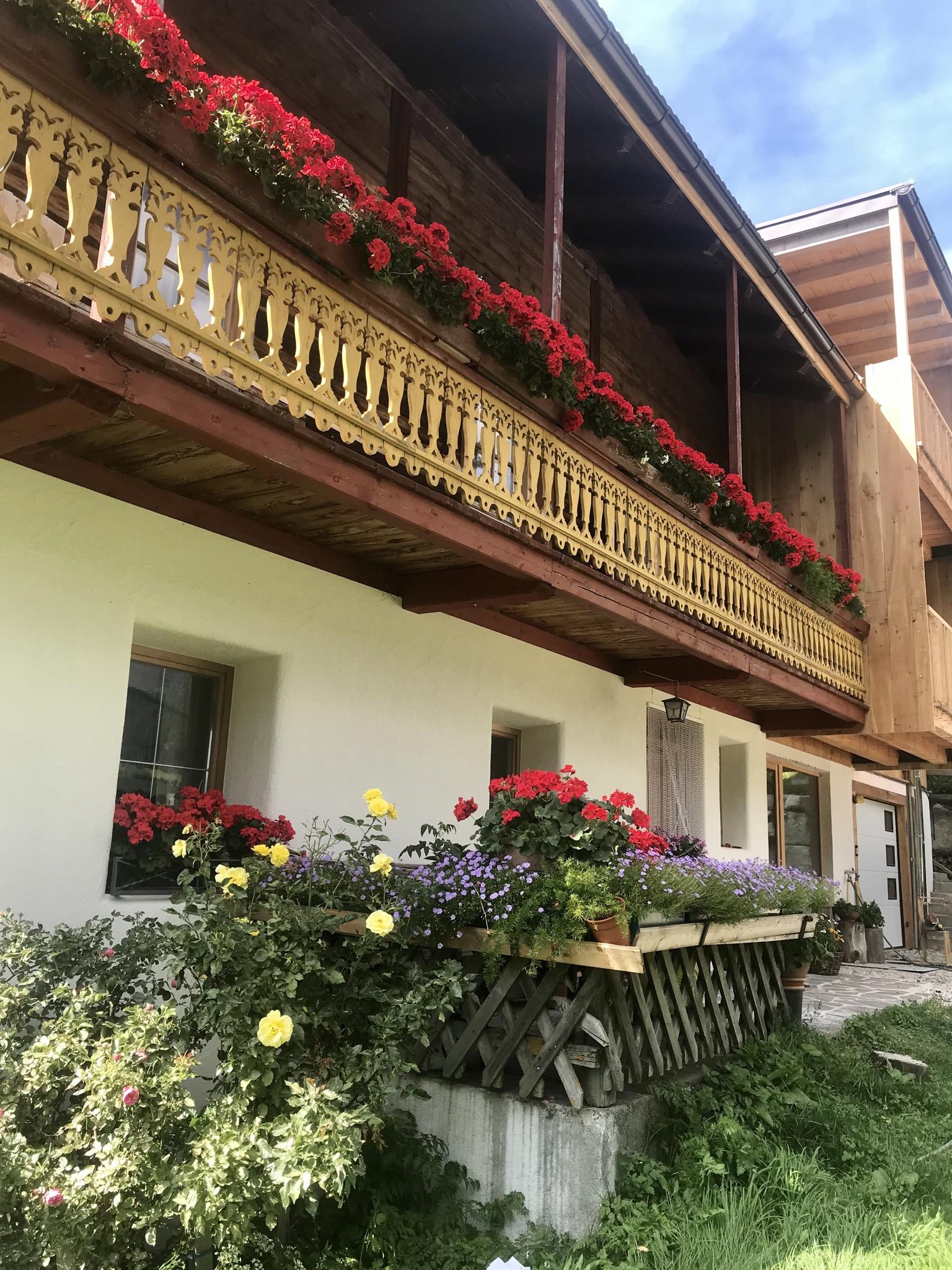 Grieshof am Pühel Valle di Casies 3 suedtirol.info